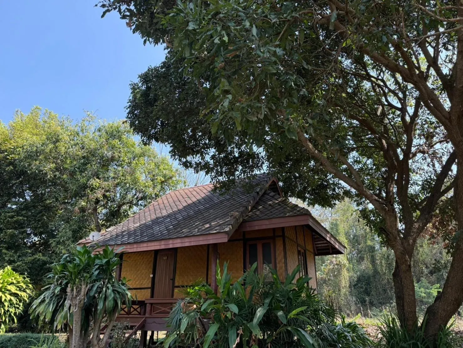 Natural landscape in Baan Krating Pai Resort - SHA Plus