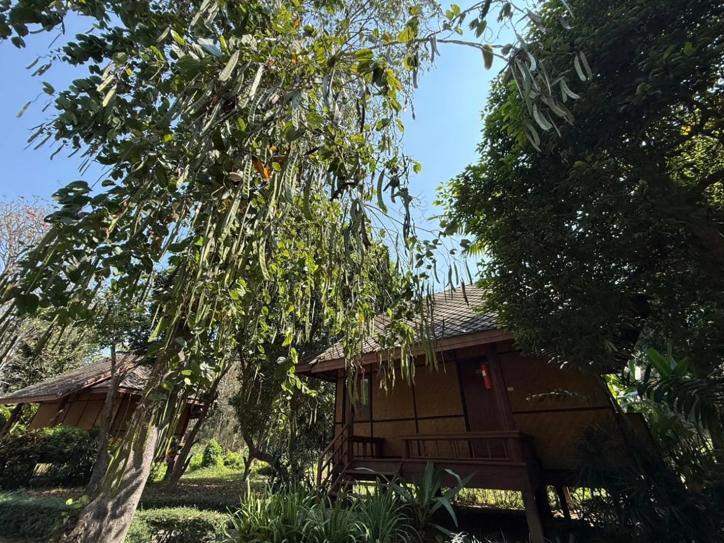 Property building in Baan Krating Pai Resort - SHA Plus