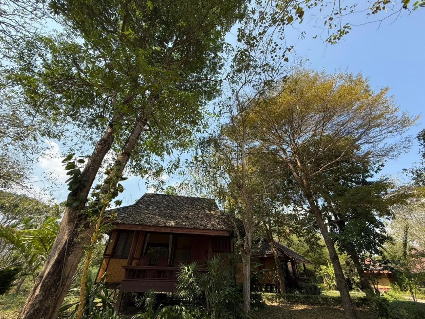 Natural landscape in Baan Krating Pai Resort - SHA Plus