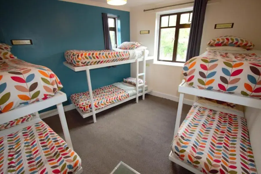 Bed in 6-Bed Male Dormitory Room in Inverness Student Hotel Bed in 6-Bed Male Dormitory Room in Inverness Student Hotel