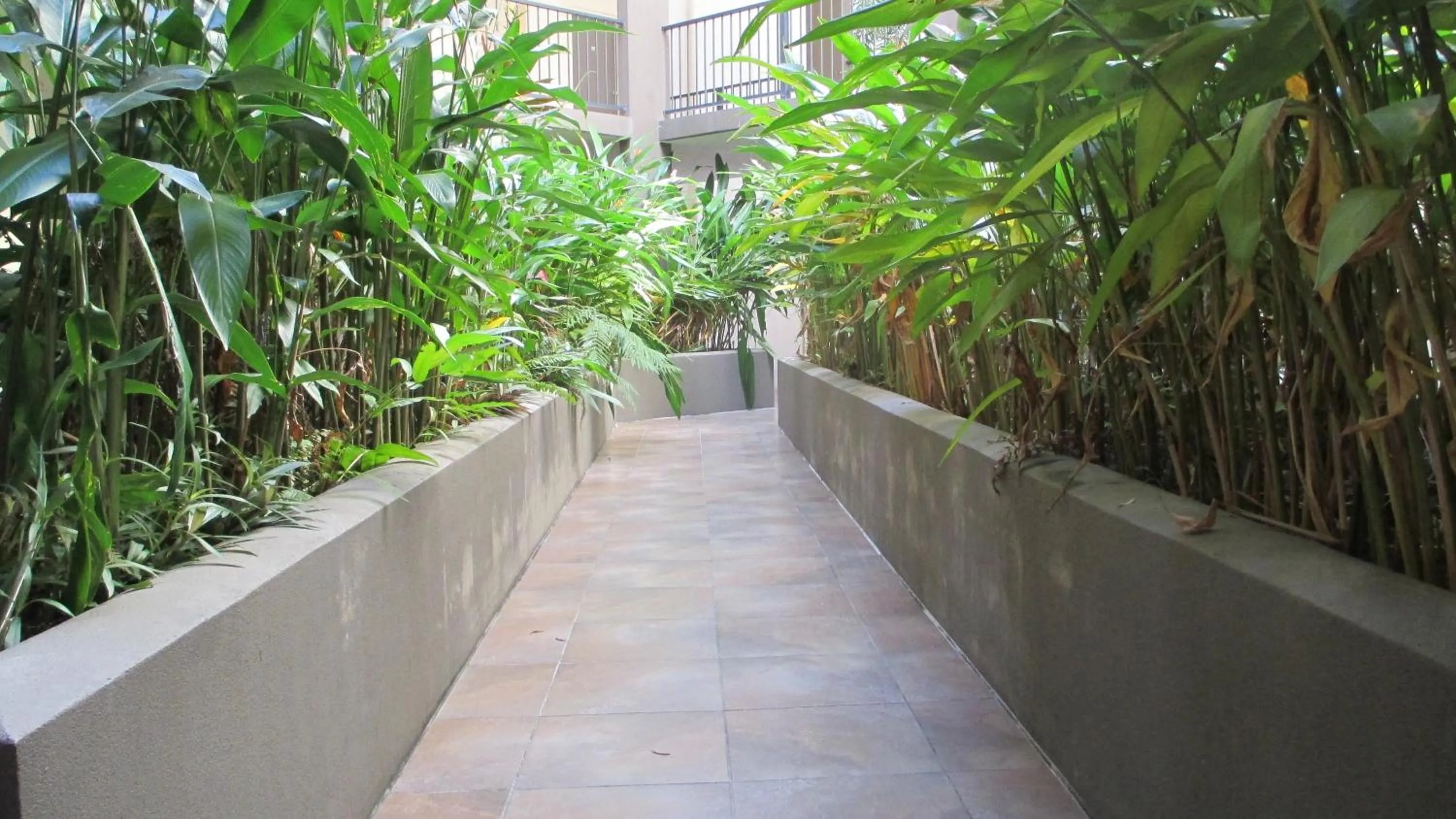 Garden in Edge Apartments Cairns