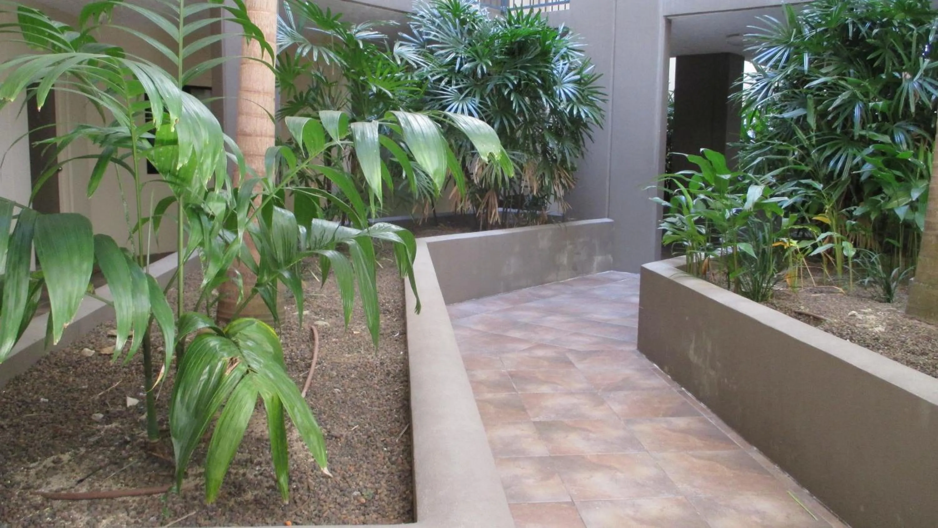 Garden in Edge Apartments Cairns