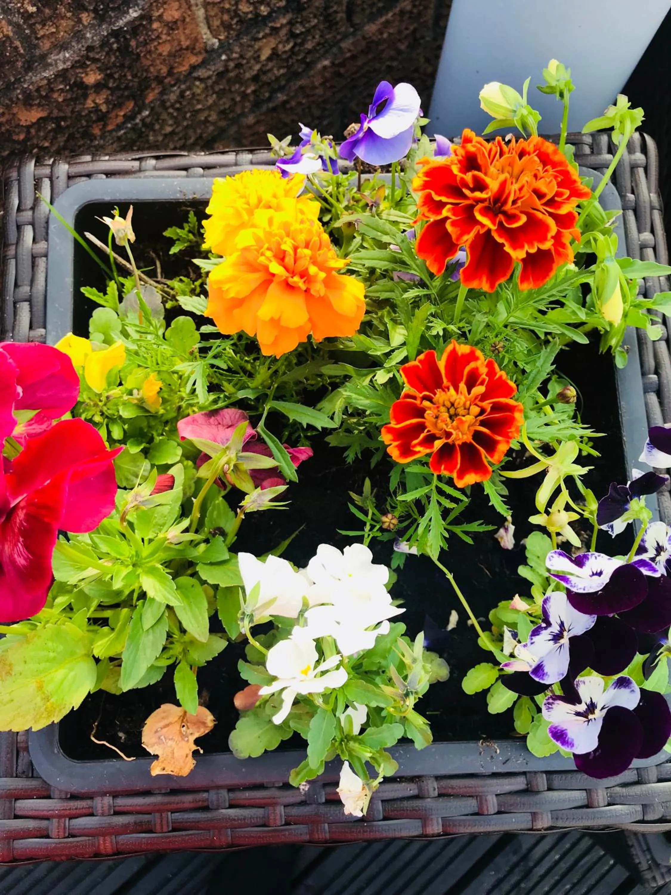 Summer in The Railway Inn