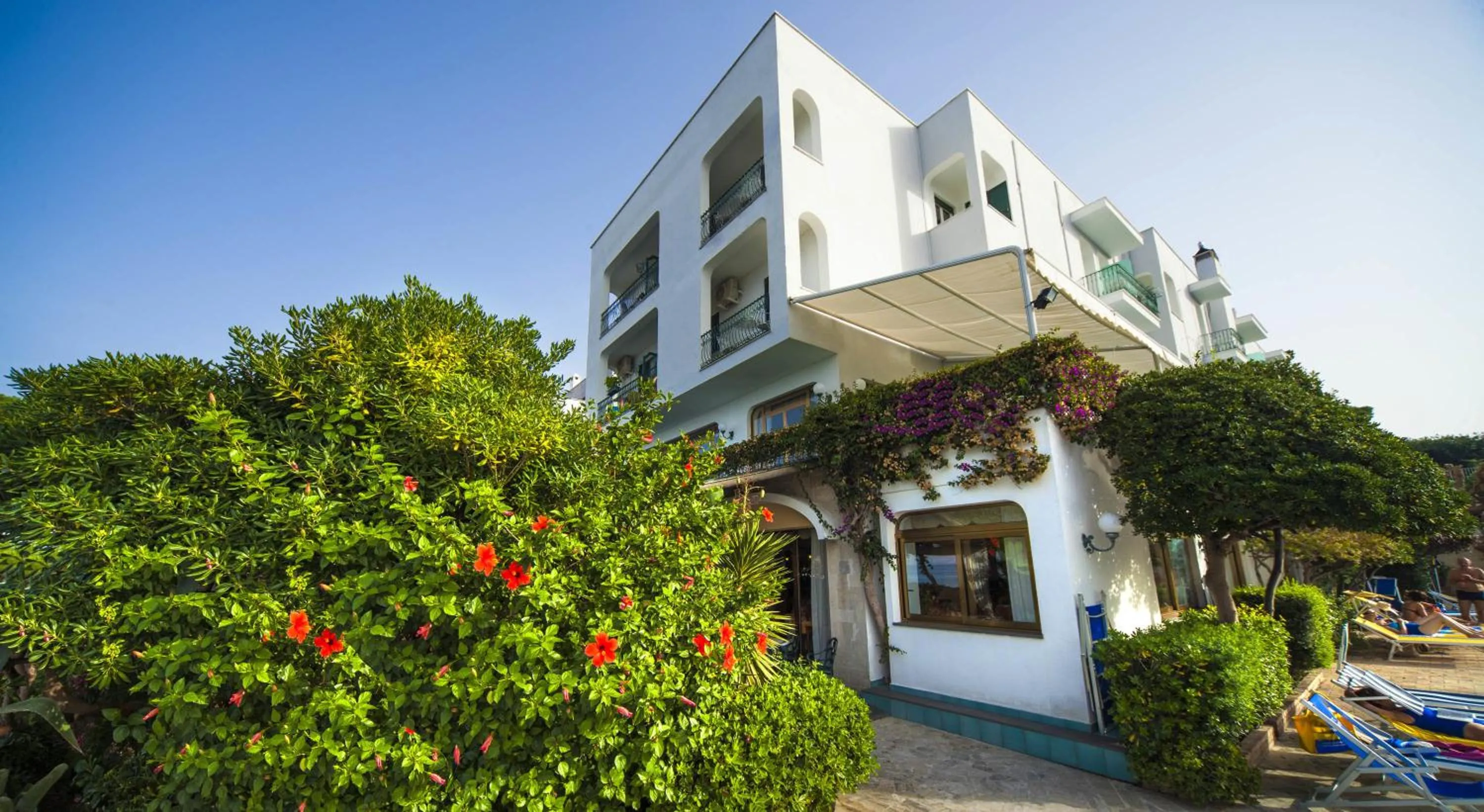 Area and facilities in Hotel Ambasciatori