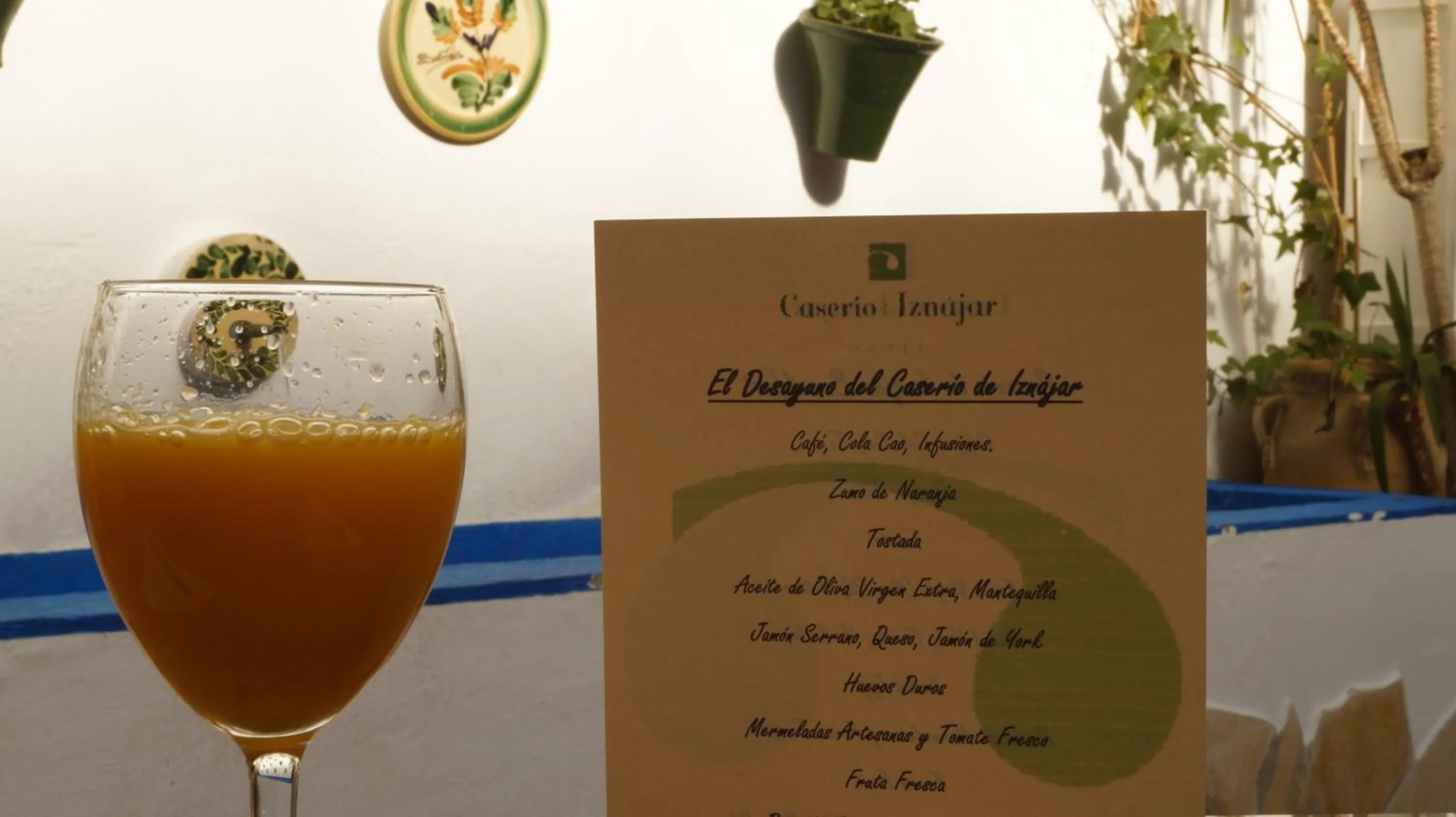 Food and drinks in Caserio de Iznájar