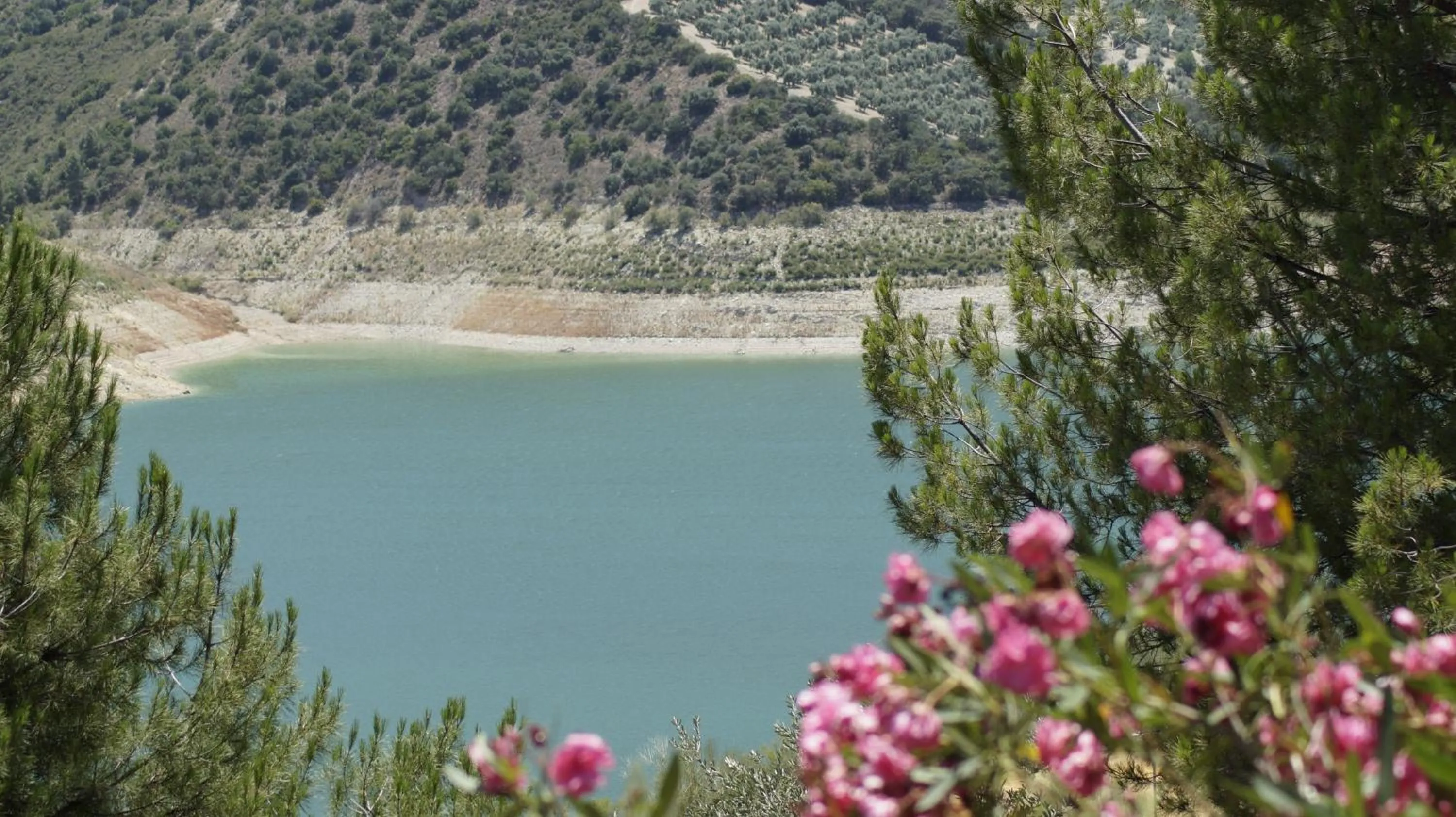 Natural landscape in Caserio de Iznájar