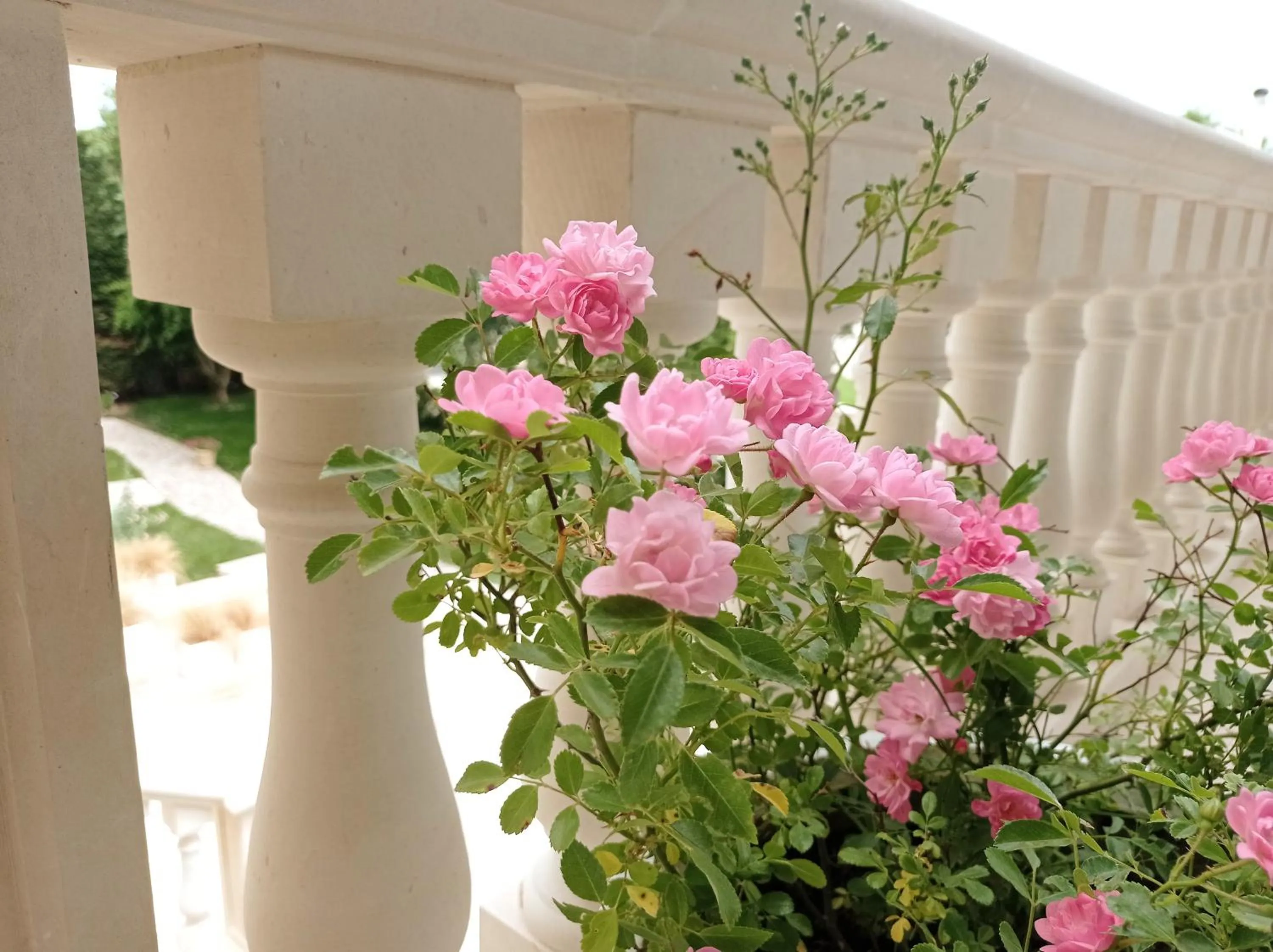 Garden in Vigne Vecchie