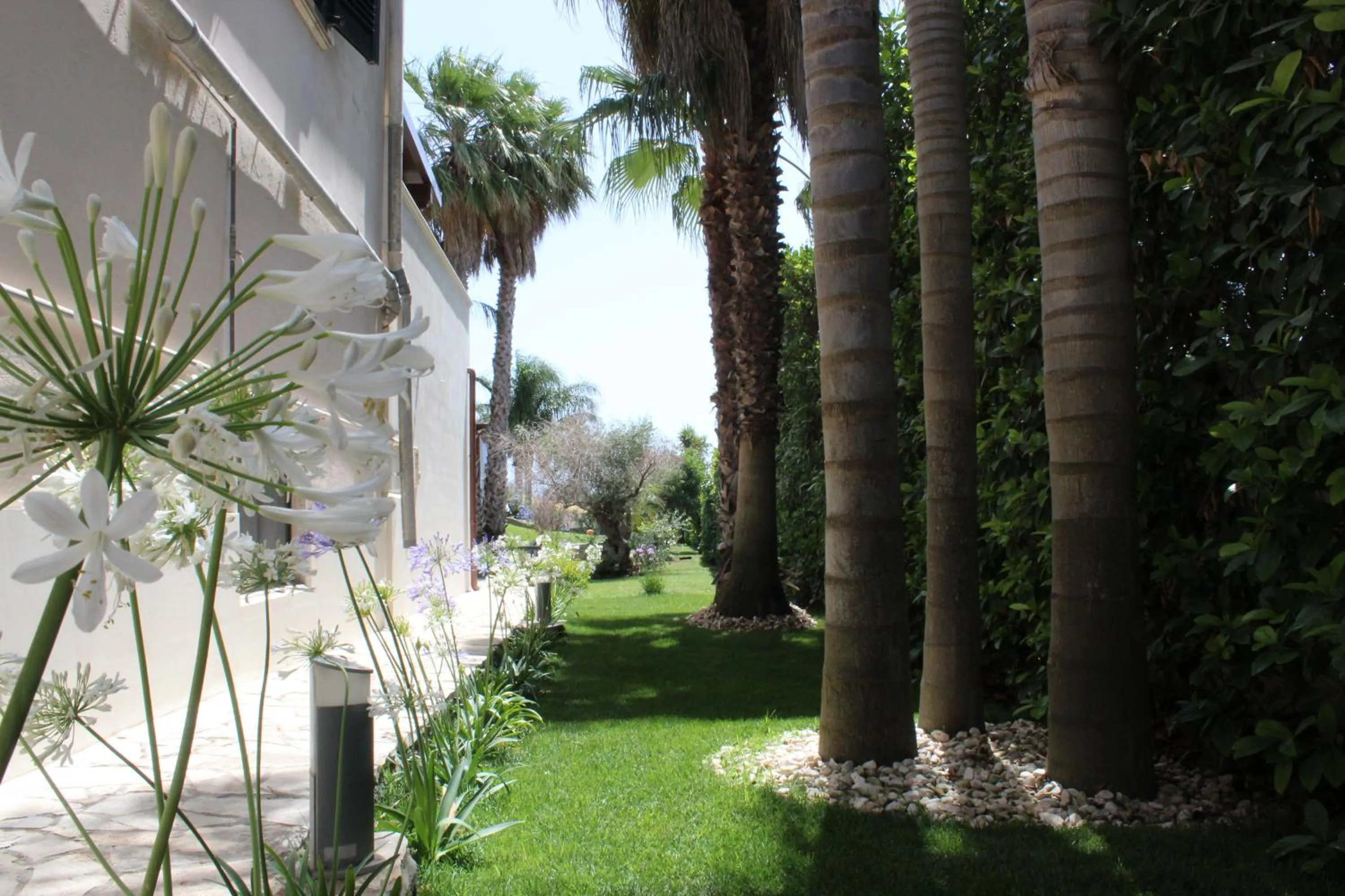 Garden in Vigne Vecchie