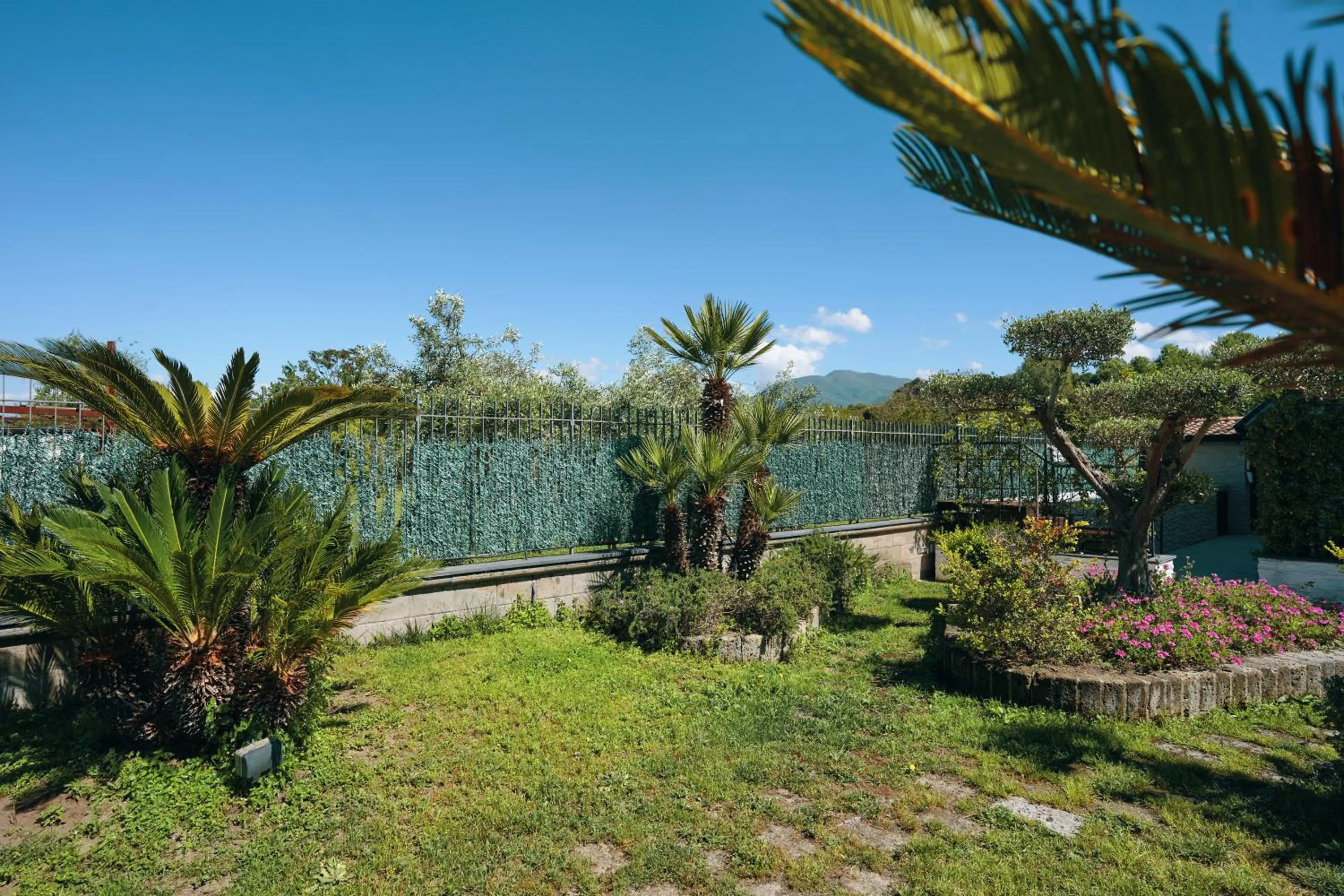 Spring in Albergo Pompei Valley - Boutique Hotel