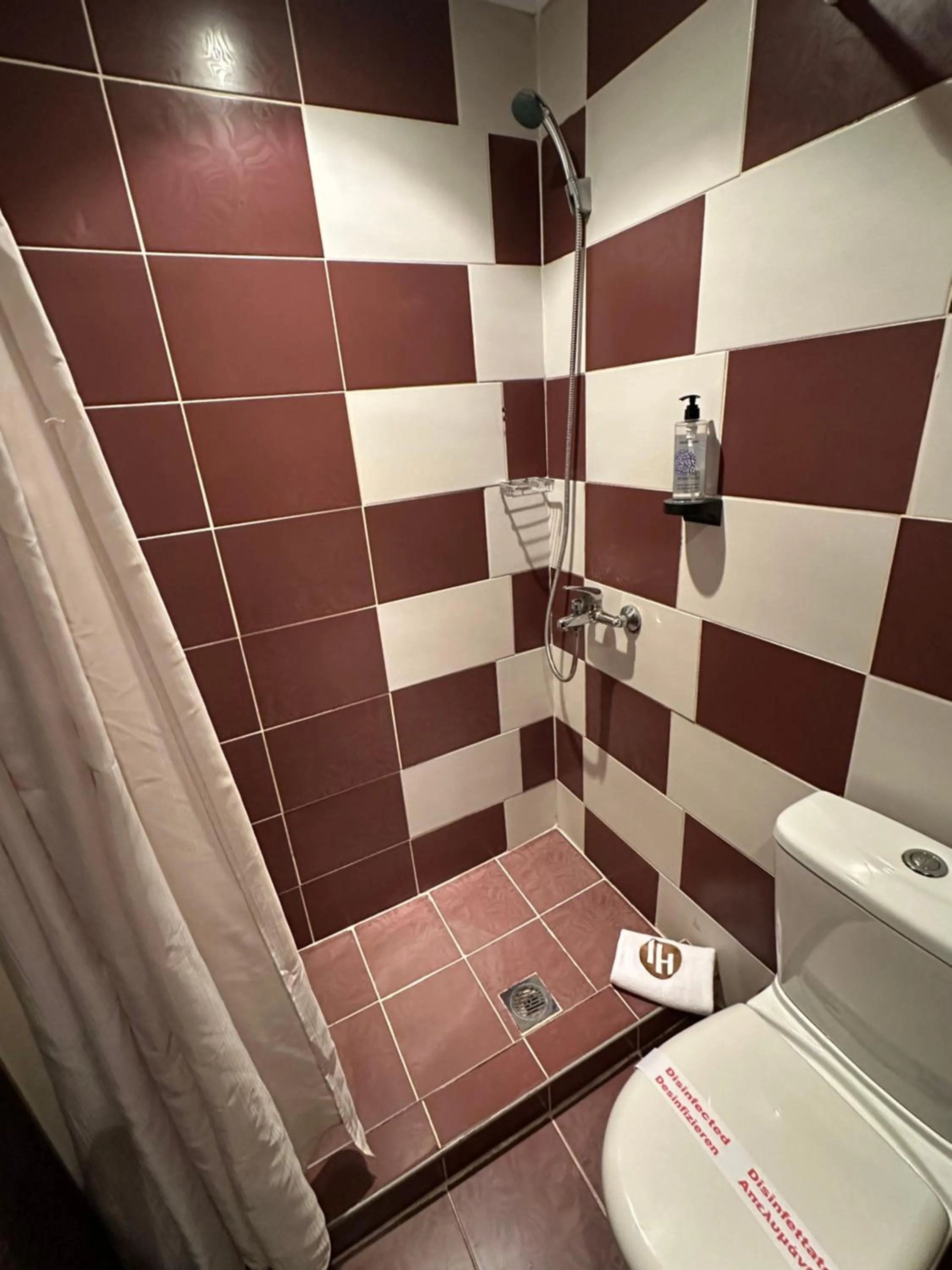 Shower in Hotel Ilisia