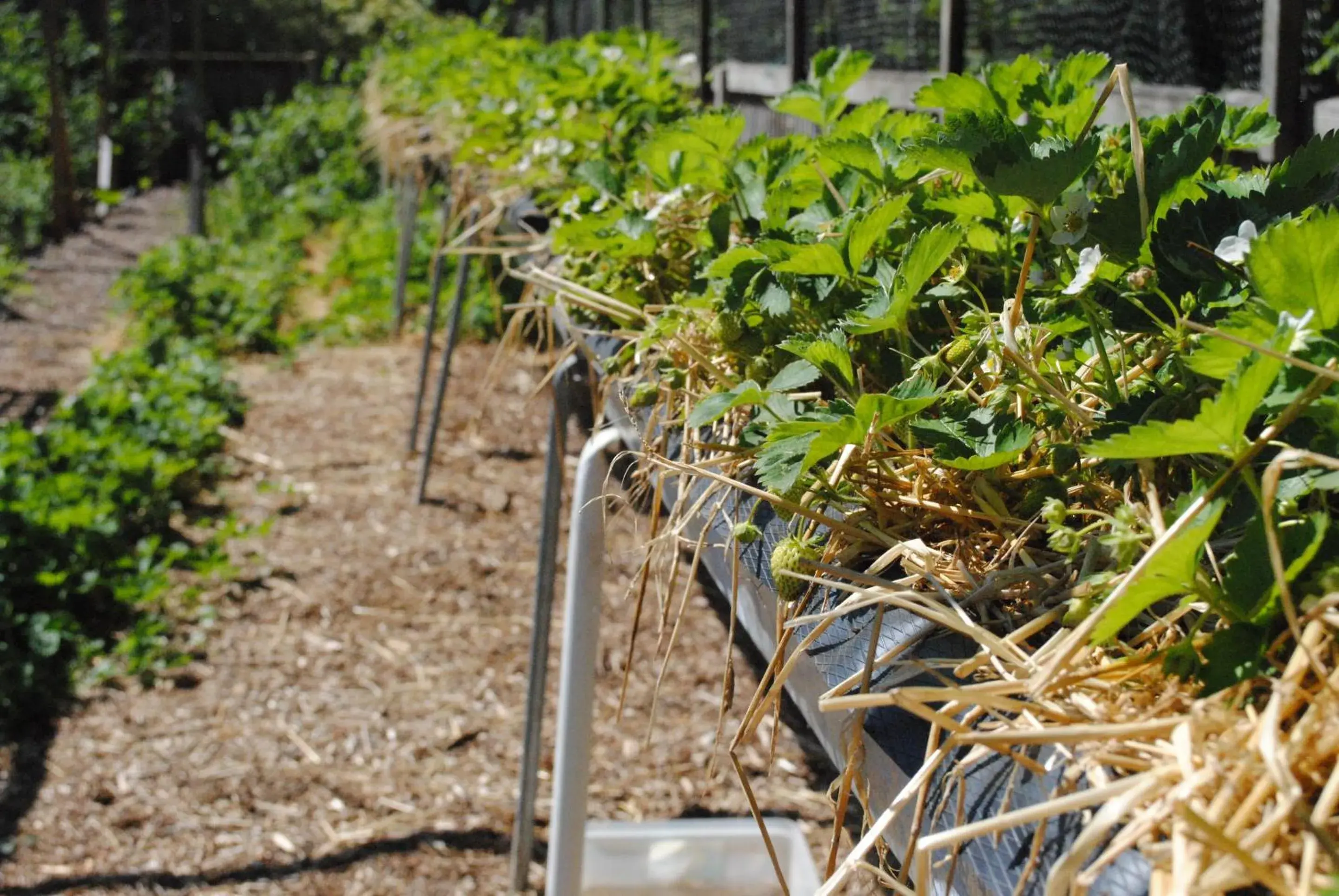 Property building in Marsham Arms Inn Property building in Marsham Arms Inn