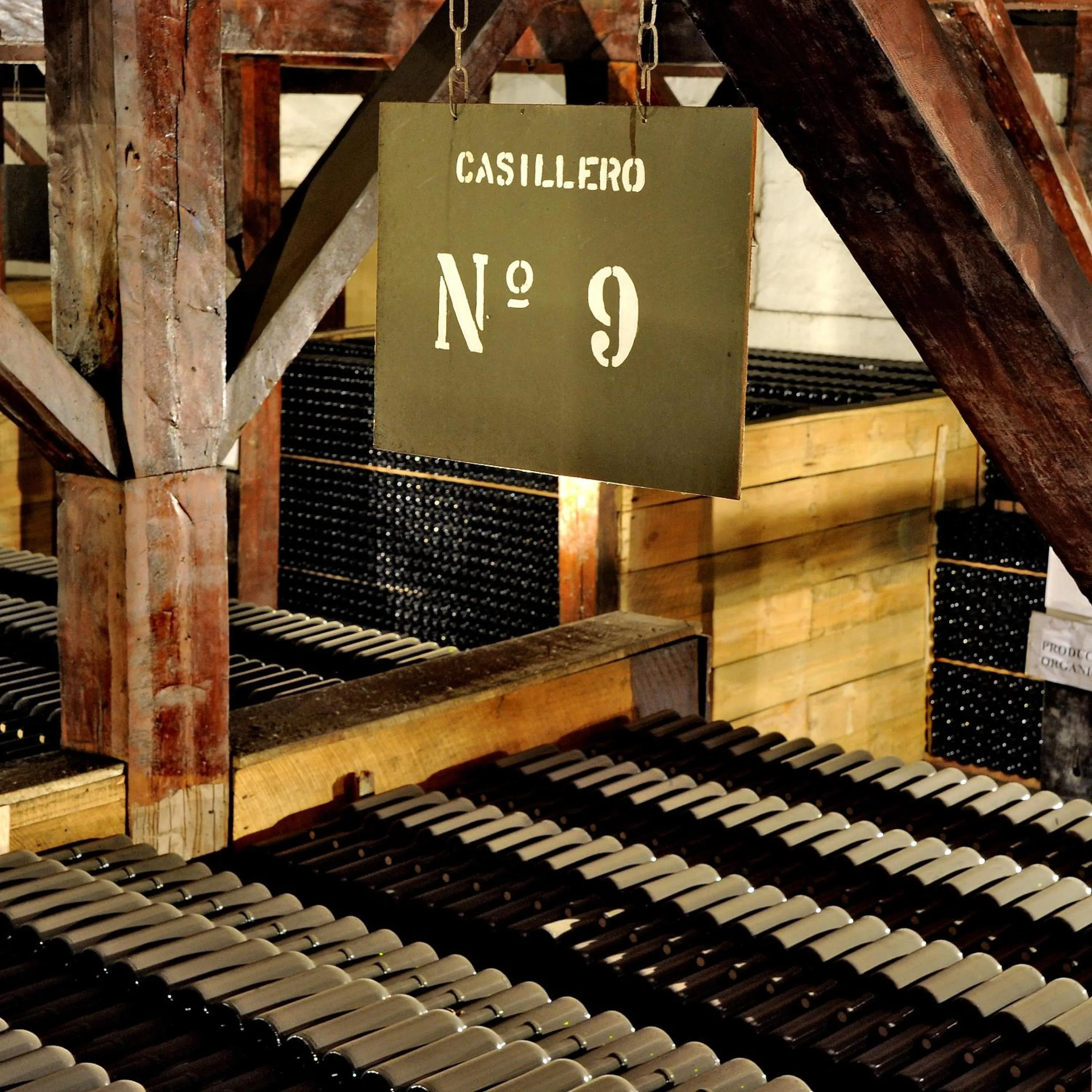 Nearby landmark in Hotel Casa Real - Viña Santa Rita