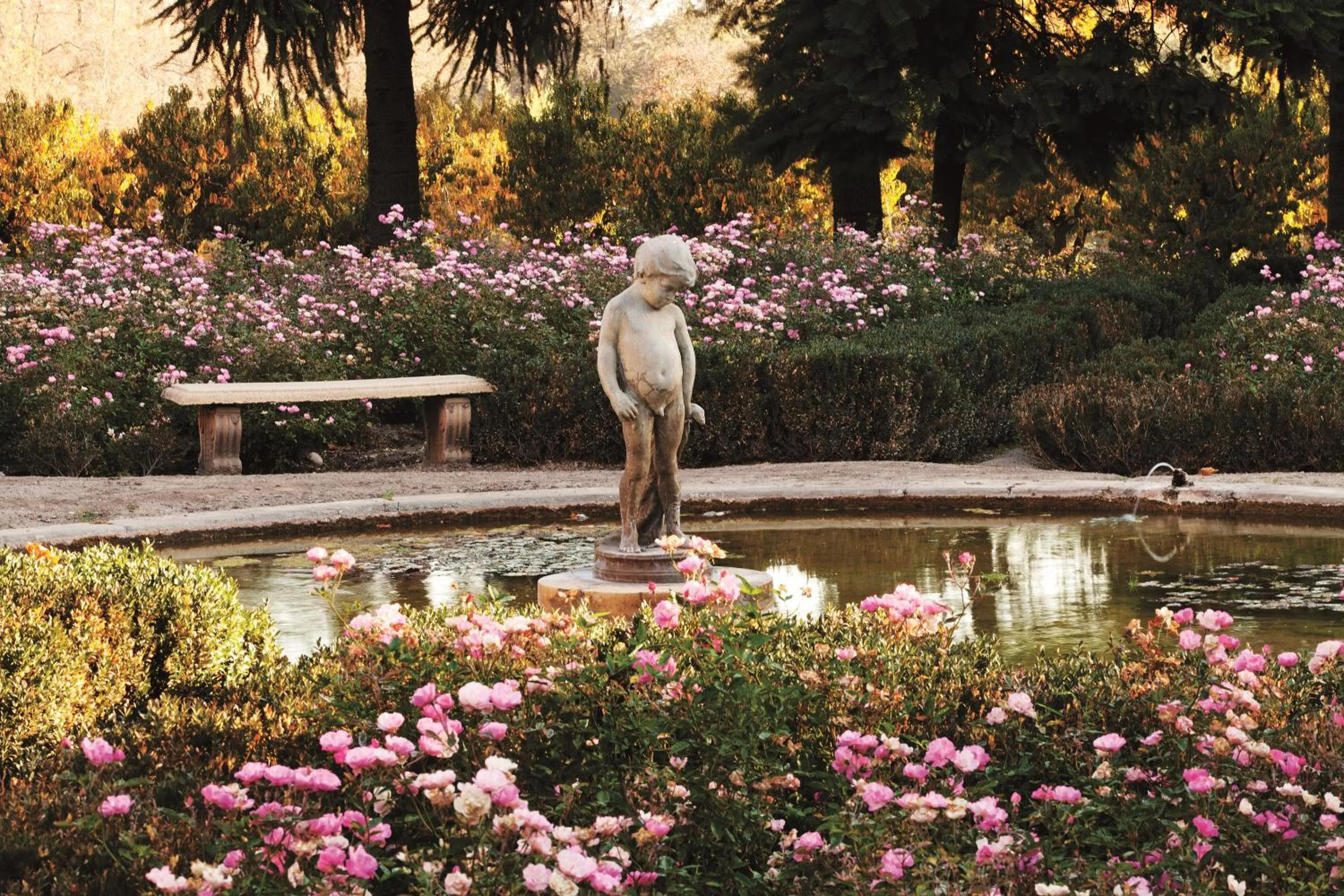 Natural landscape in Hotel Casa Real - Viña Santa Rita
