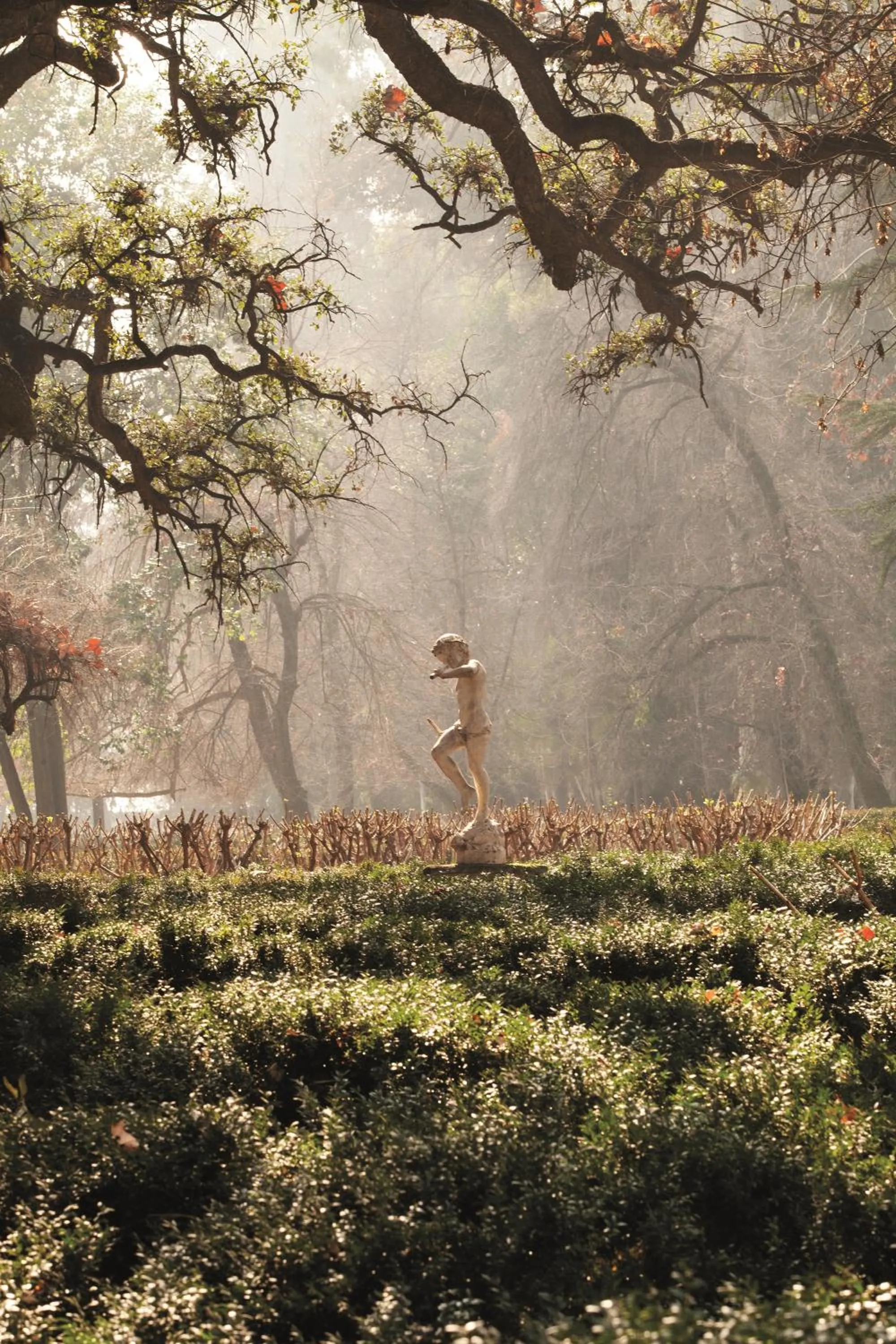 Garden in Hotel Casa Real - Viña Santa Rita