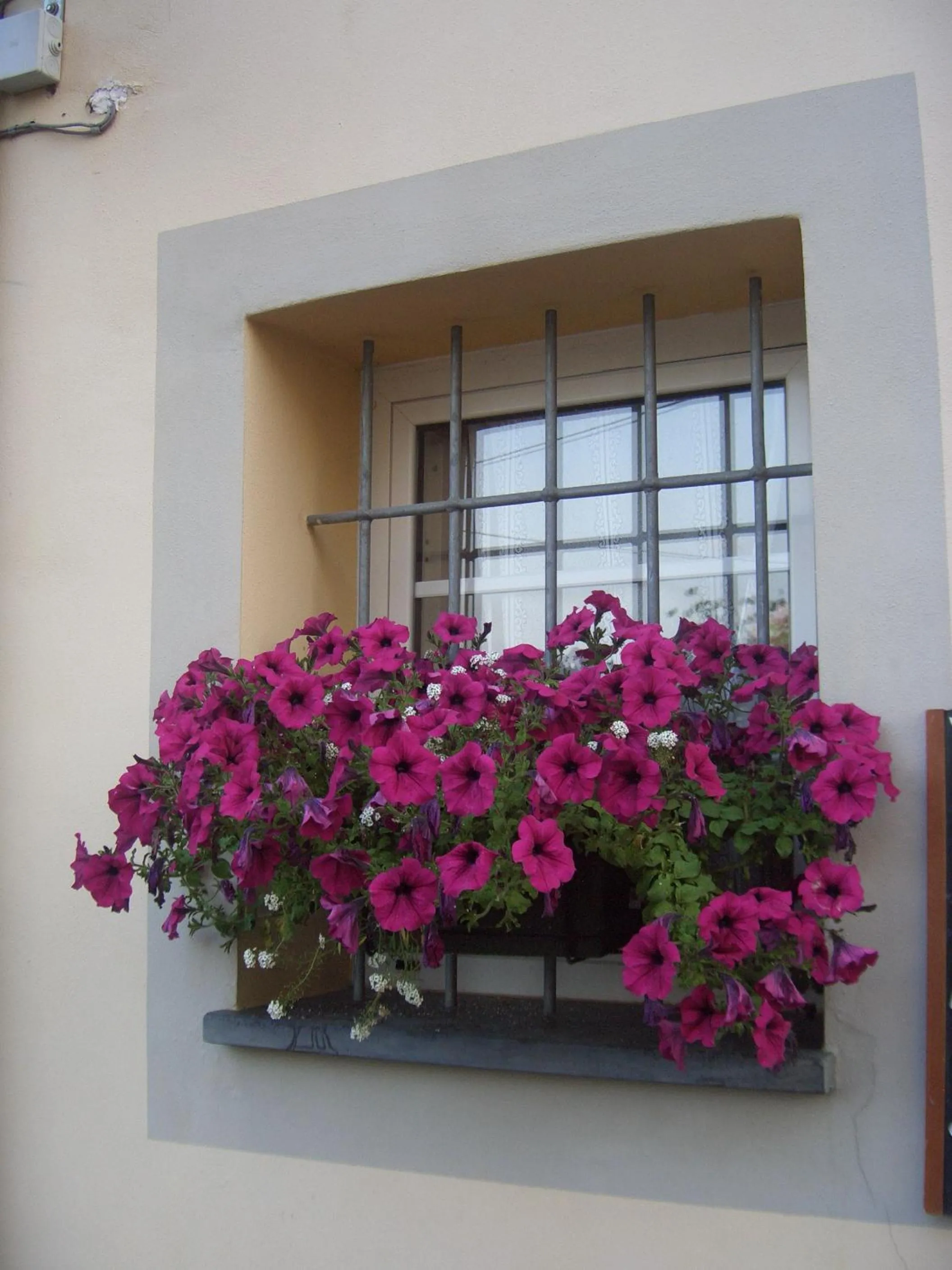 Decorative detail in Hotel Paese Corvara