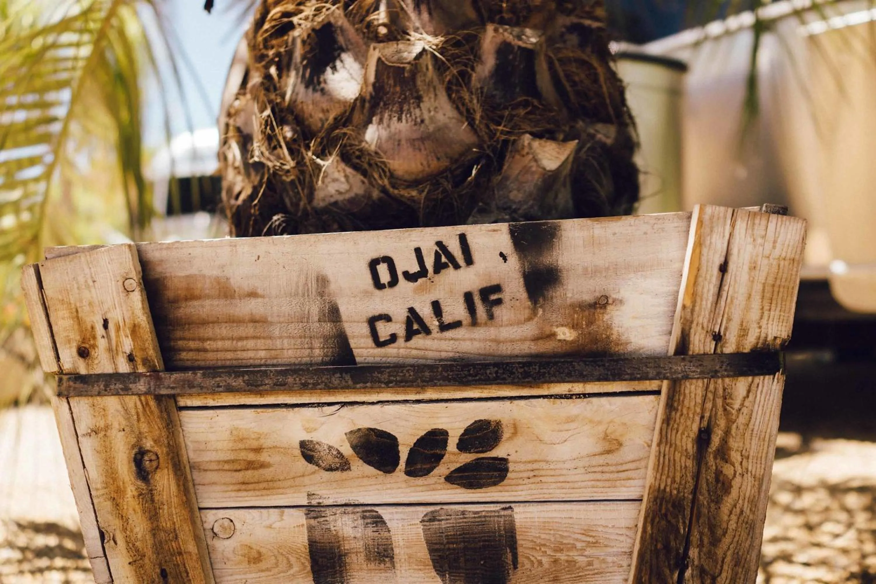 Decorative detail in Caravan Outpost