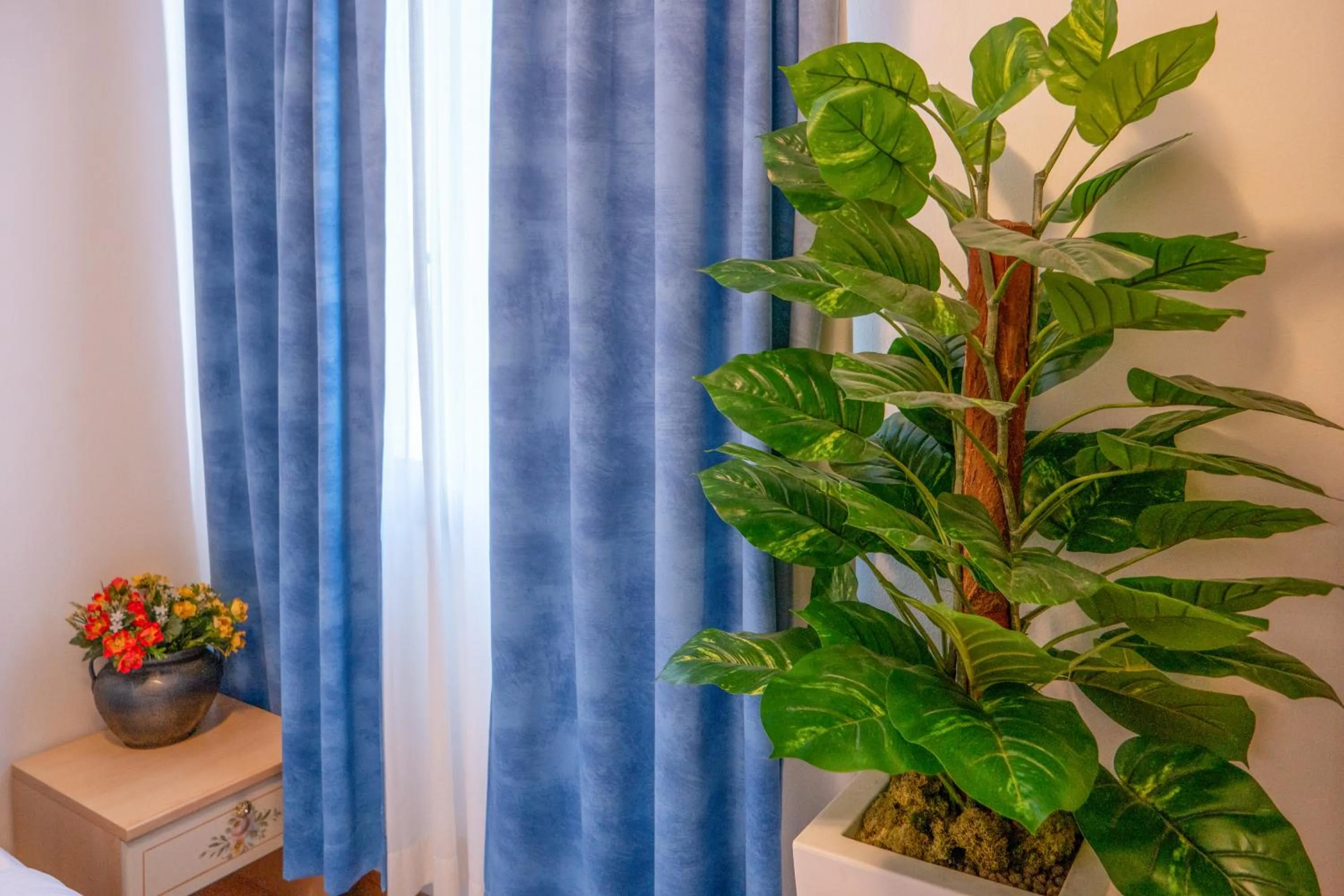 Hotel New Aurora Venice