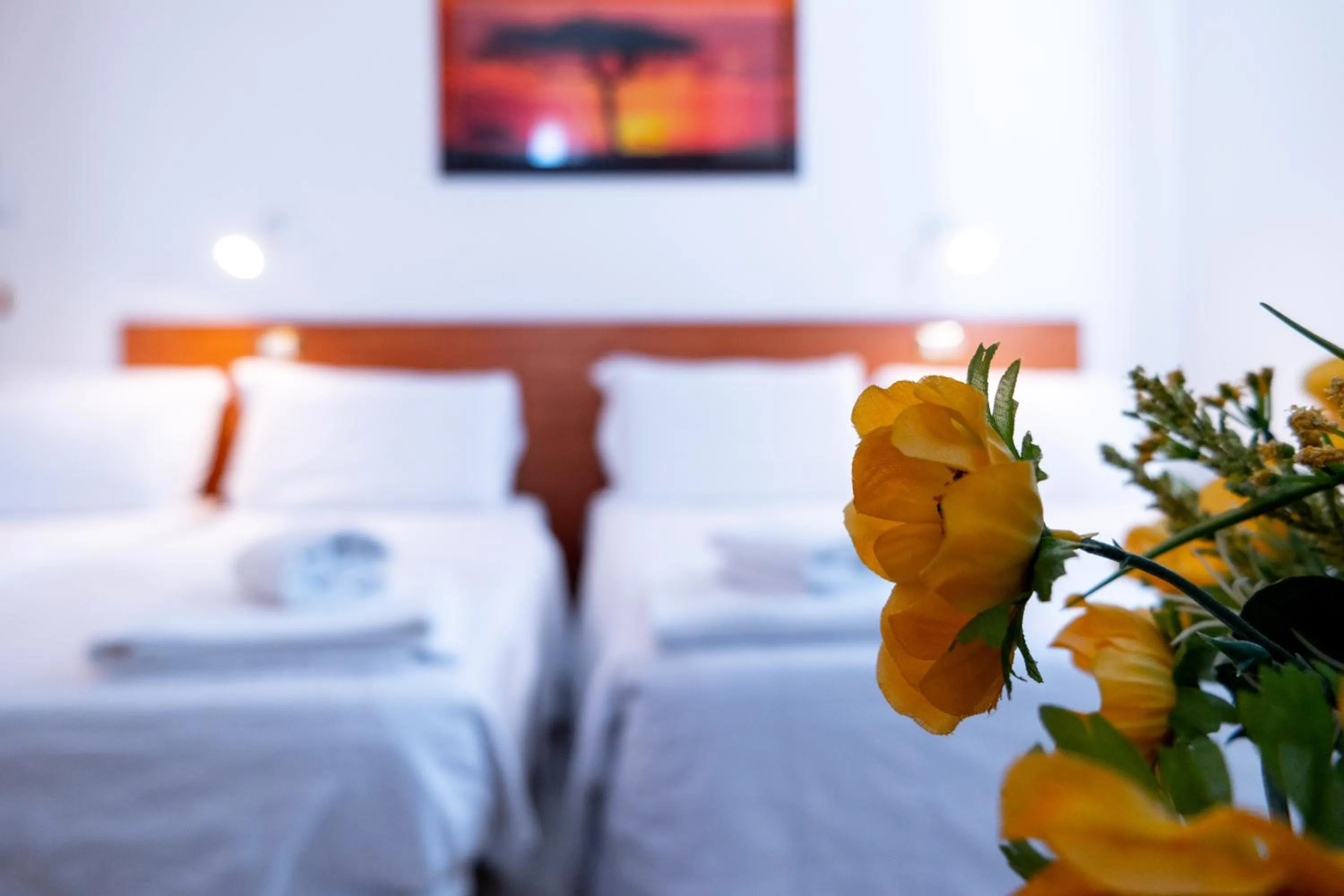 Bed in Hotel New Aurora Venice