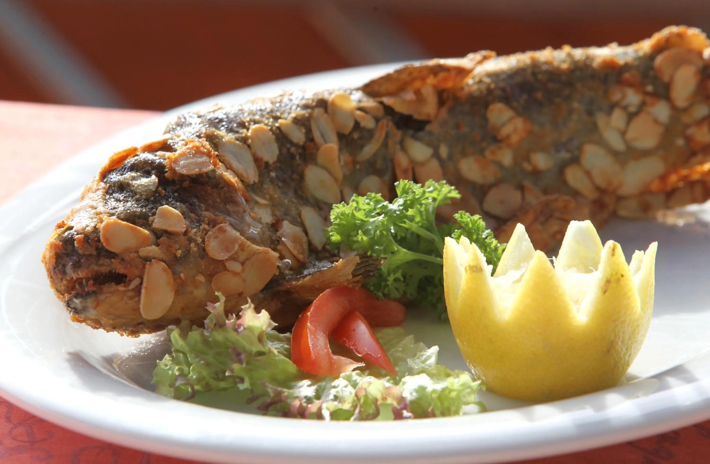 Restaurant/places to eat in Hotel & Gasthof Zur Linde