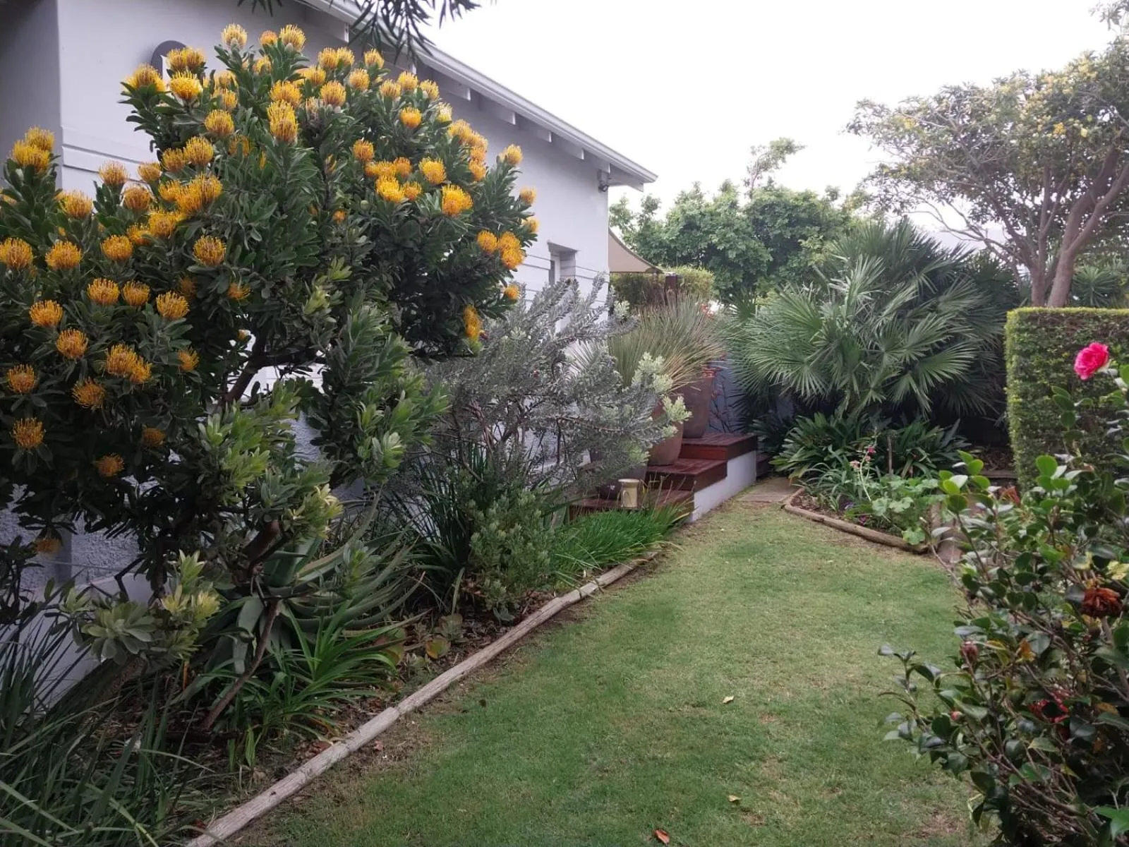 B's Place