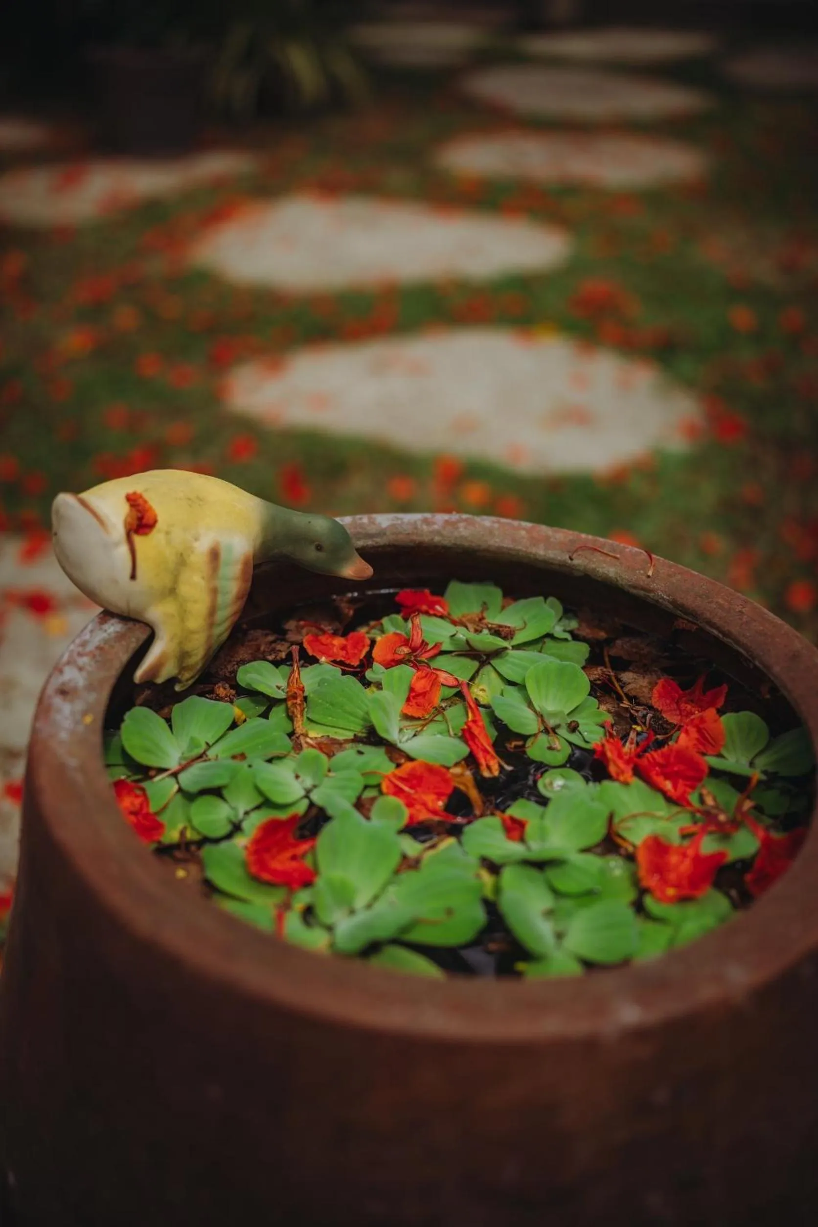 Garden in Nan Rim Nam Resort