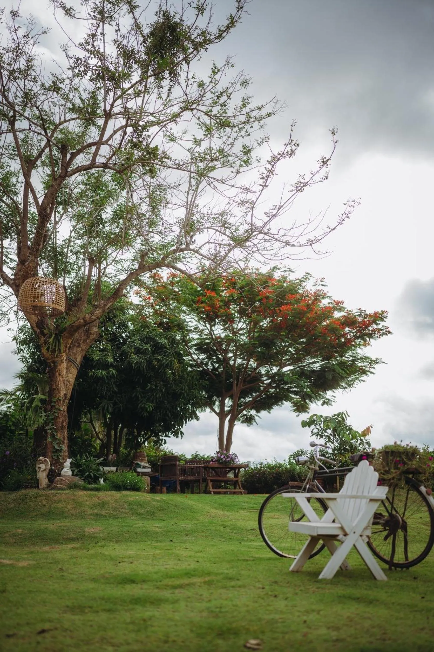 Day in Nan Rim Nam Resort