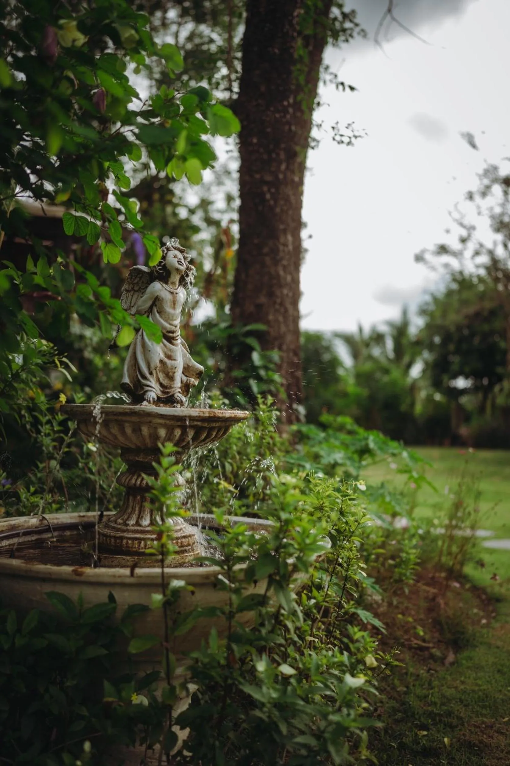 Day in Nan Rim Nam Resort