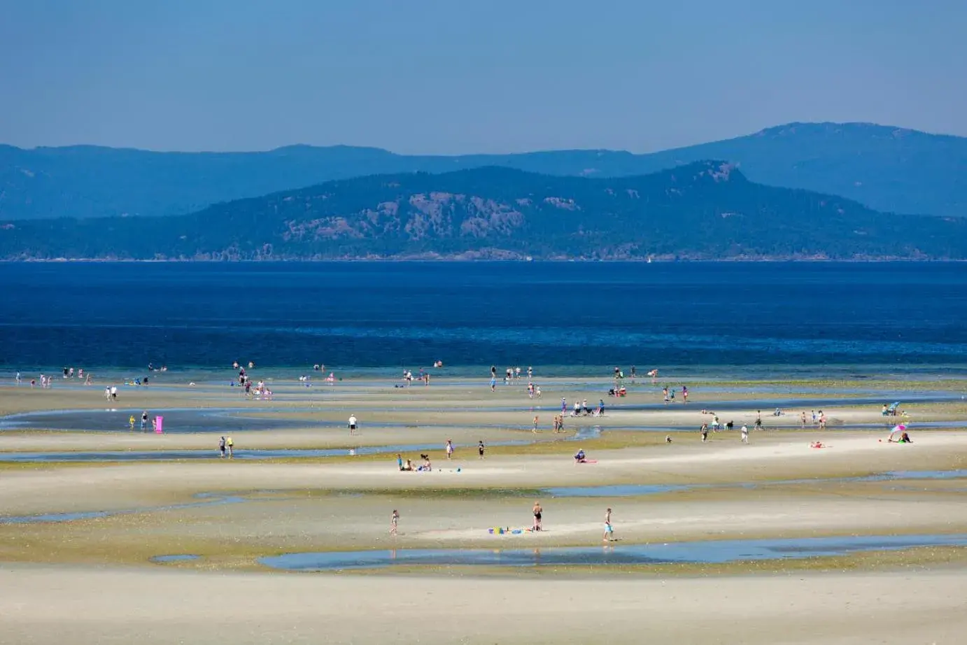 Sea view in The Beach Club Resort — Bellstar Hotels & Resorts Sea view in The Beach Club Resort — Bellstar Hotels & Resorts