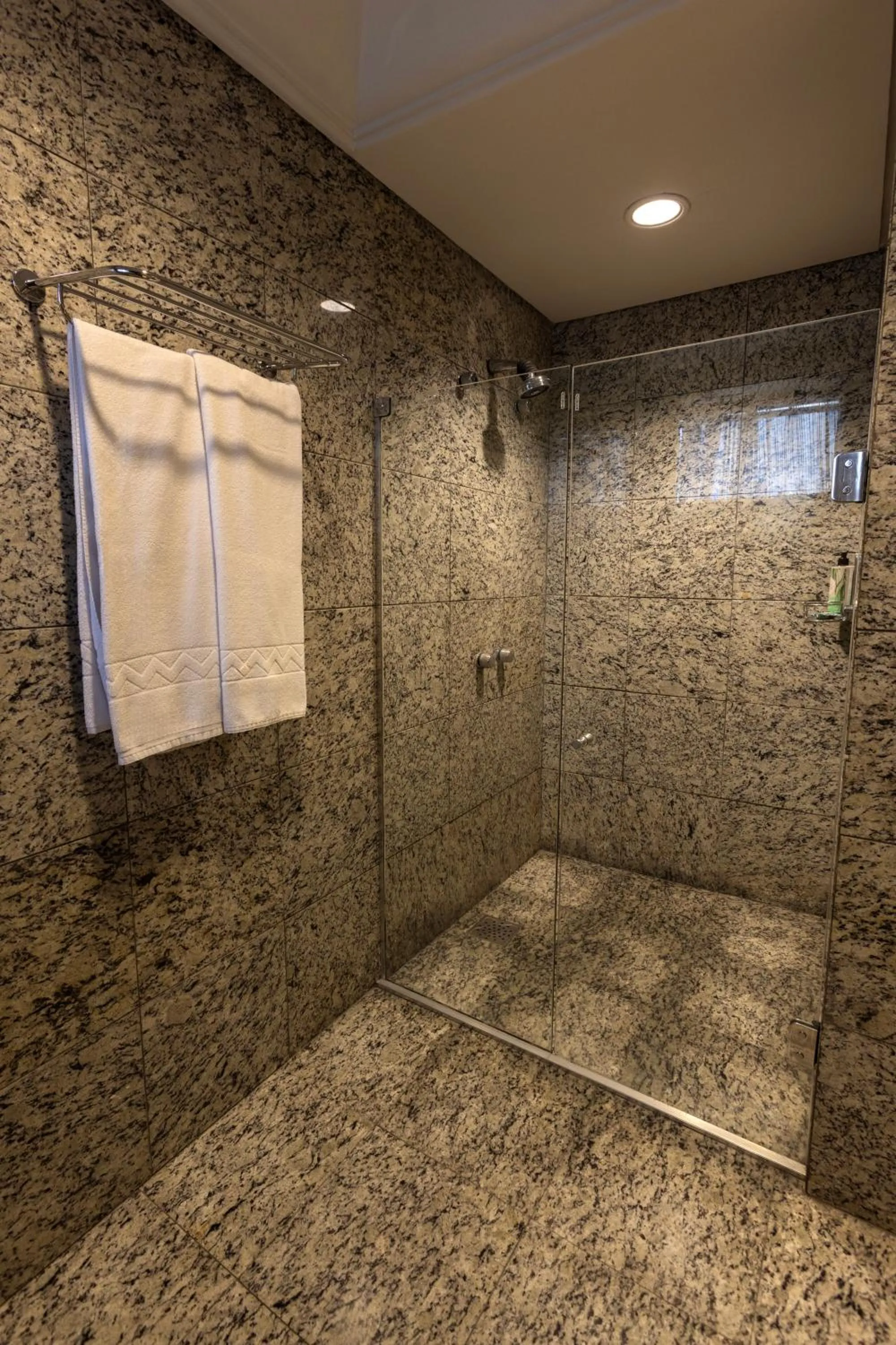 Shower in Grand Mercure Curitiba Rayon