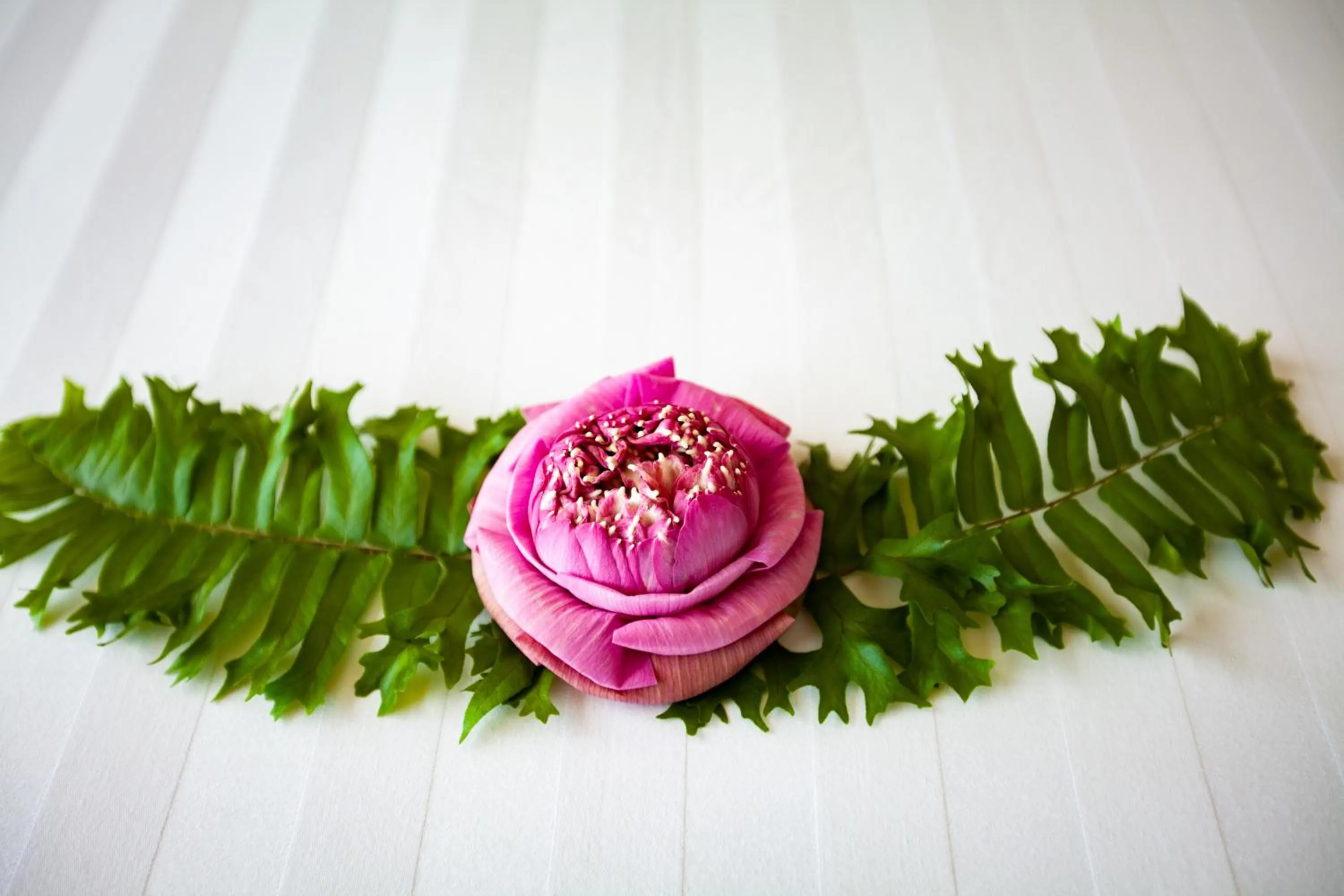 Property building in Kingdom Angkor Hotel