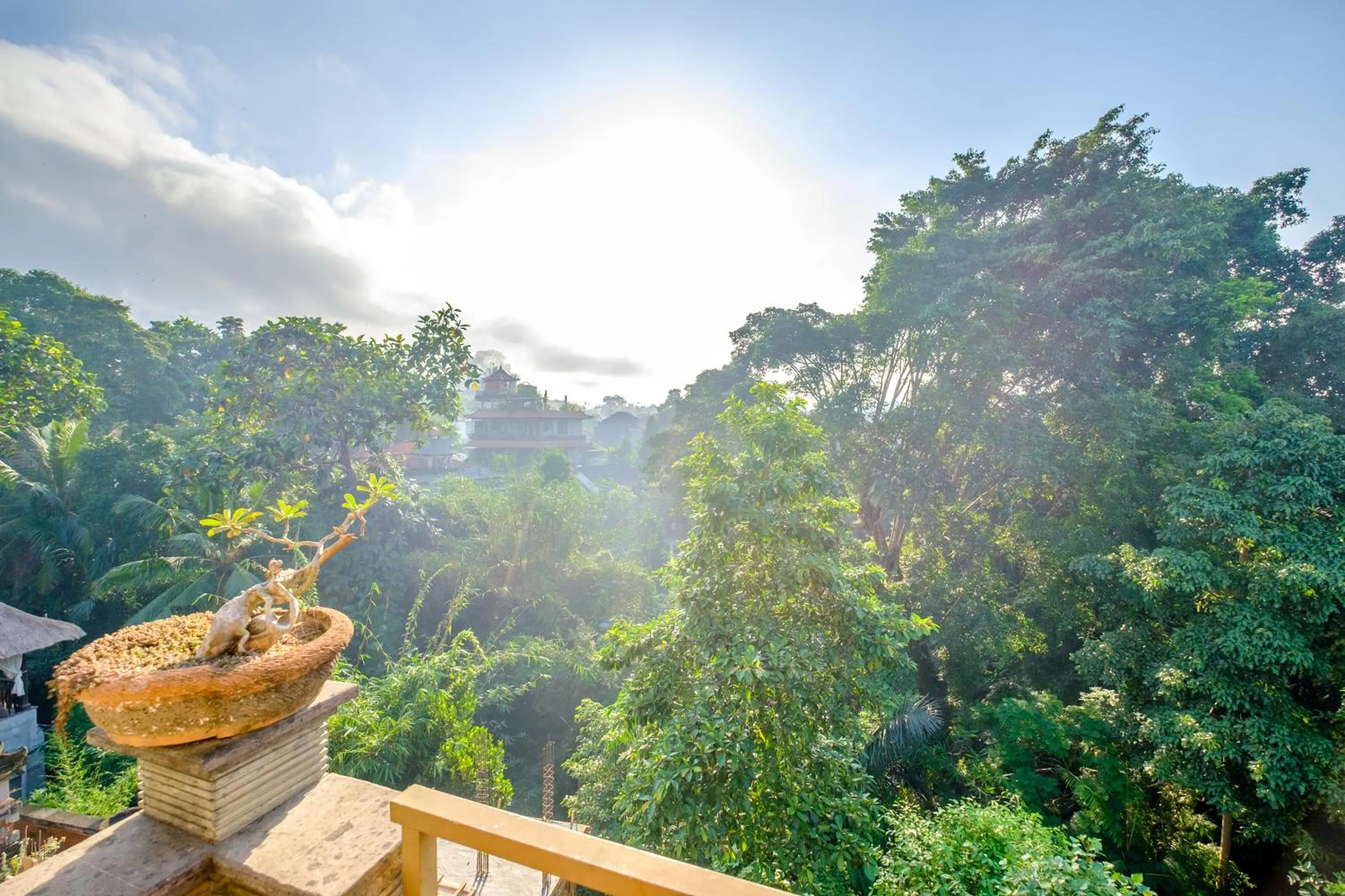 Day in Bali Ubud Harmony