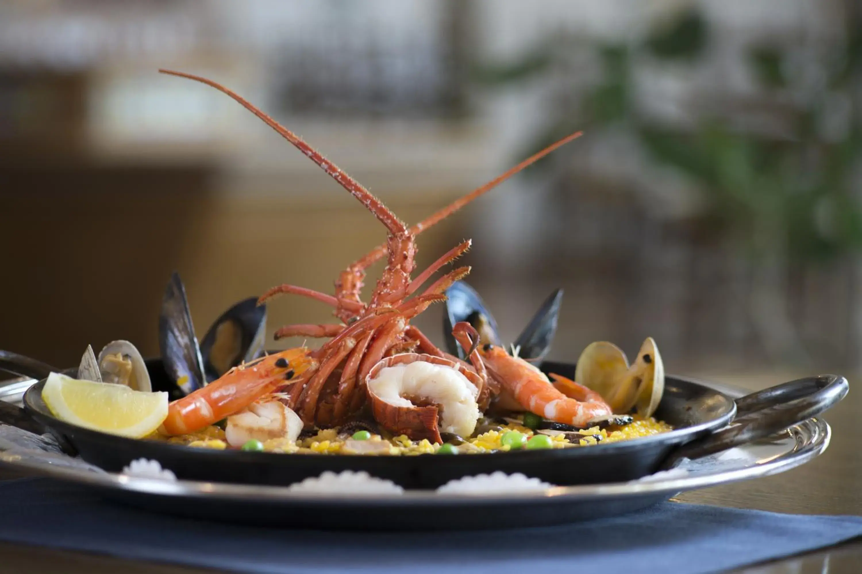 Restaurant/places to eat in Hotel Shima Spain Mura Restaurant/places to eat in Hotel Shima Spain Mura