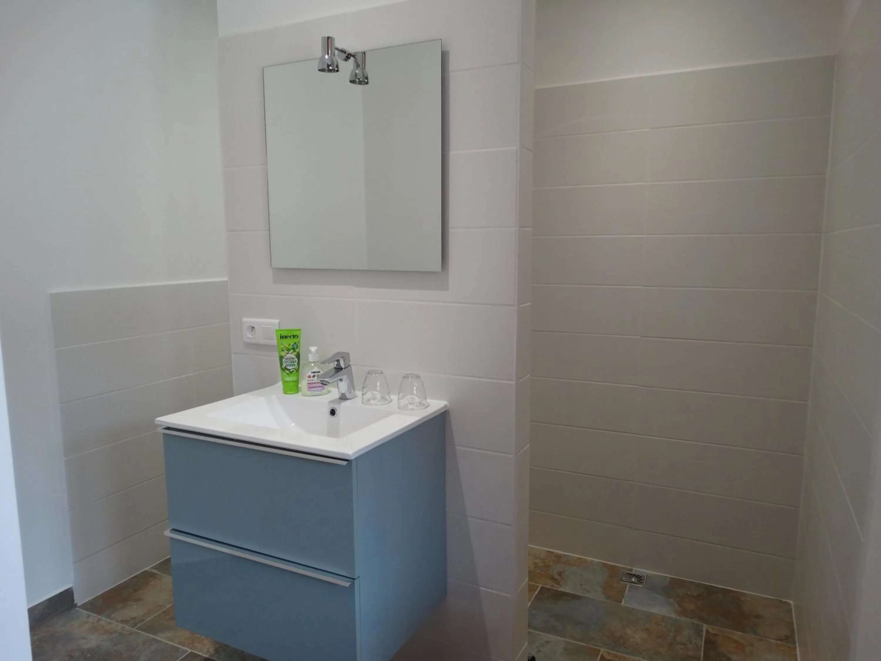 Twin Room with Private Bathroom in residence la Salamandre kamers