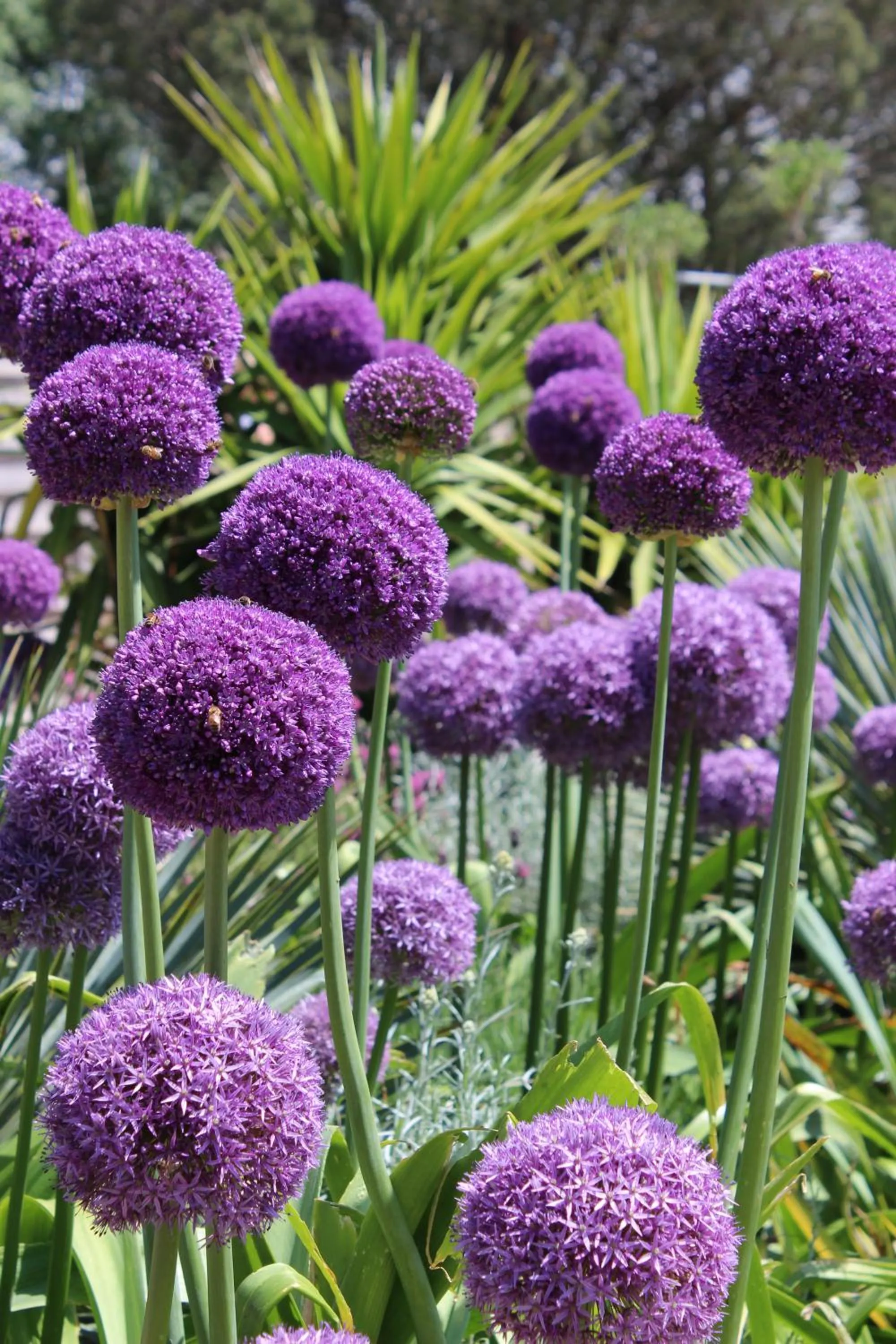 Activities in residence la Salamandre kamers