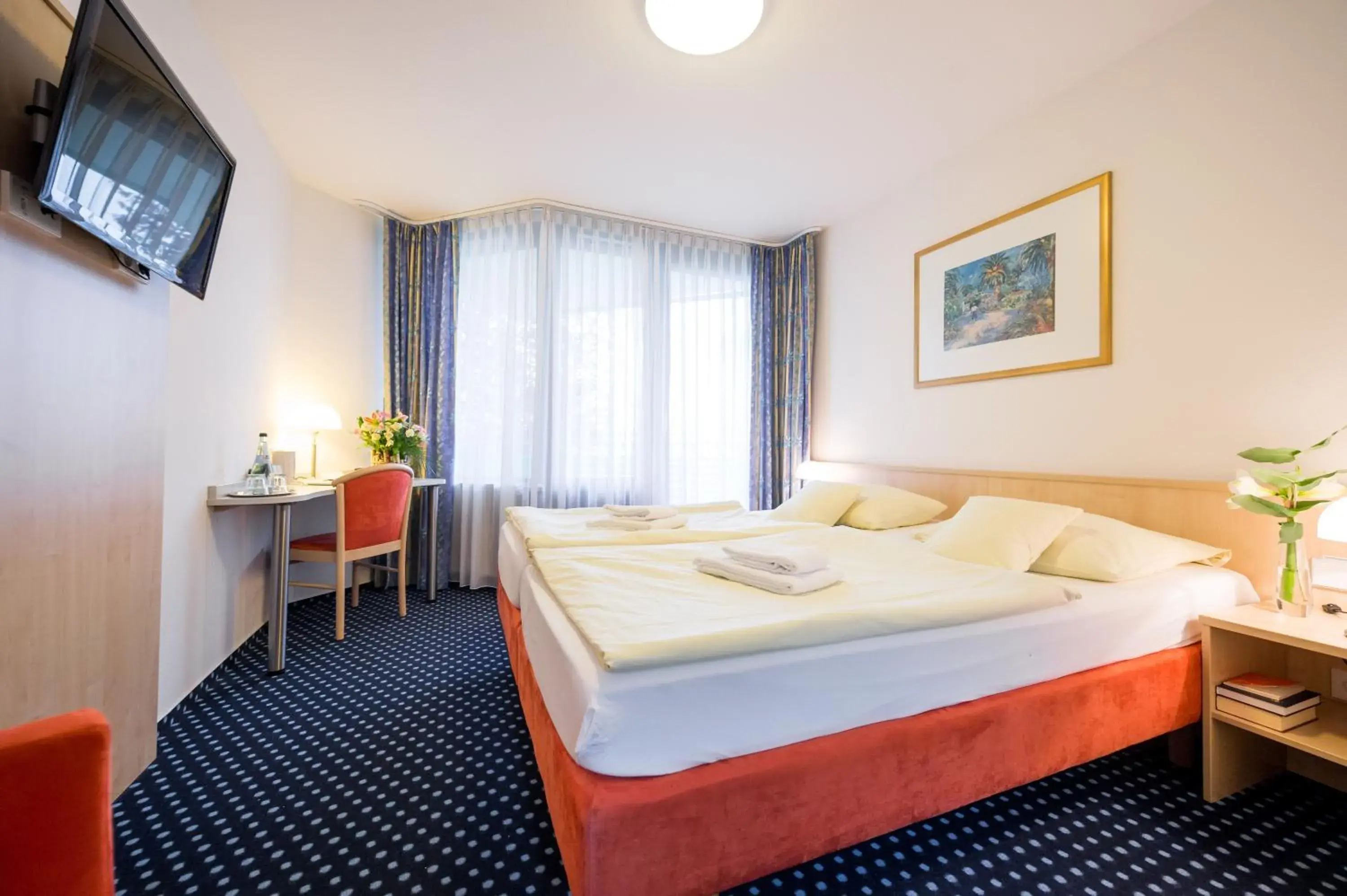 Standard Double Room - single occupancy in Hotel am Schlossberg Standard Double Room - single occupancy in Hotel am Schlossberg