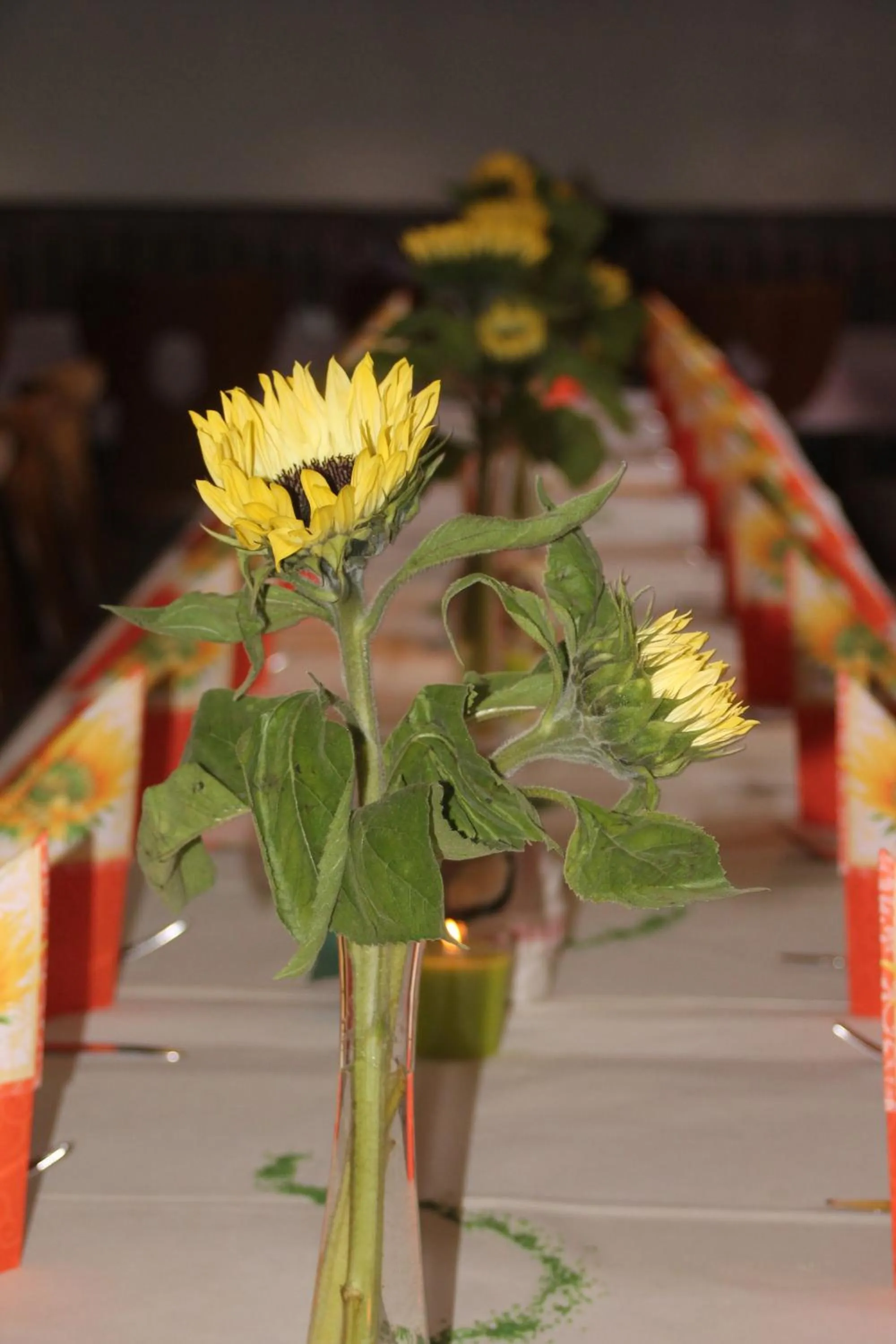 Restaurant/places to eat in Gasthof Post