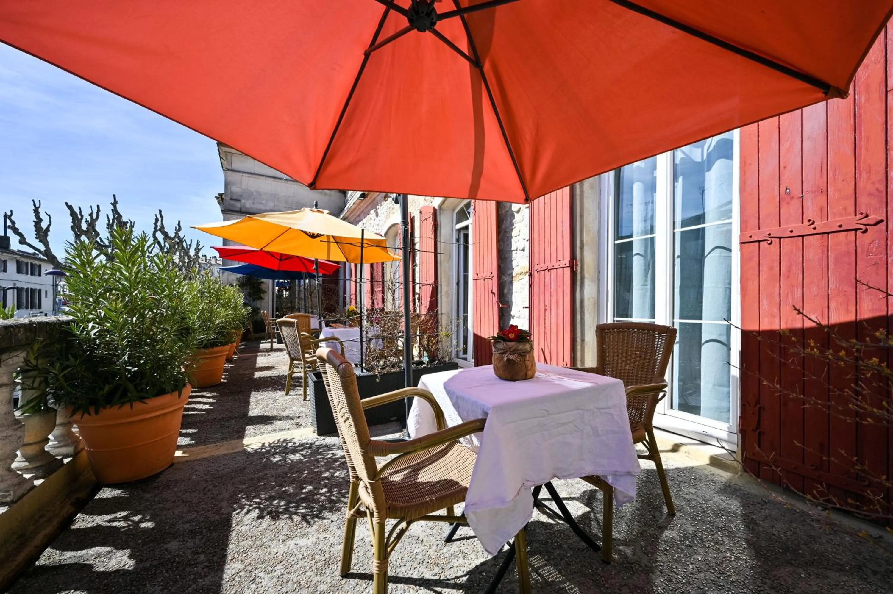Balcony/Terrace in Hotel Des Artistes