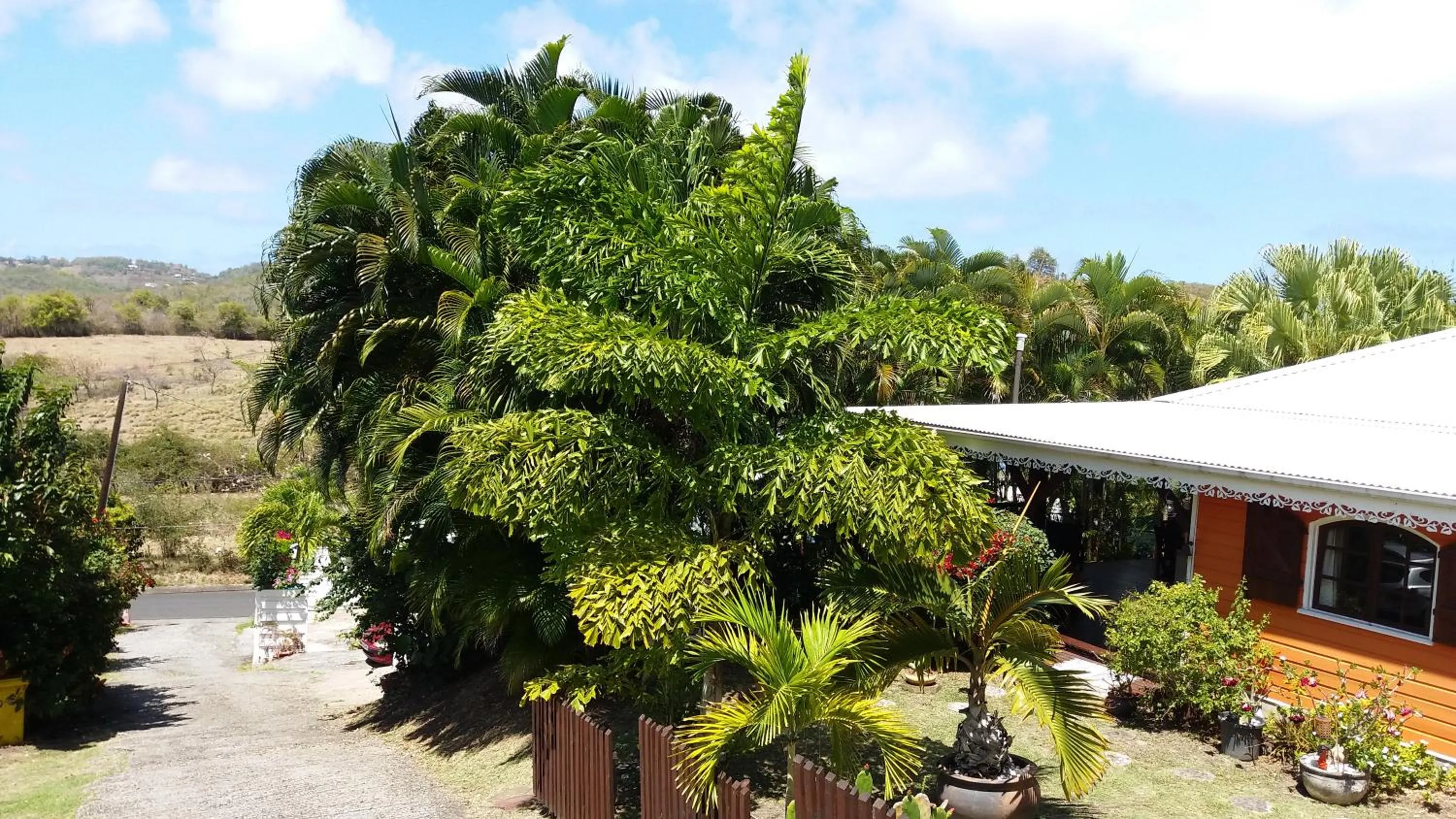 Neighbourhood in Cap Martinique