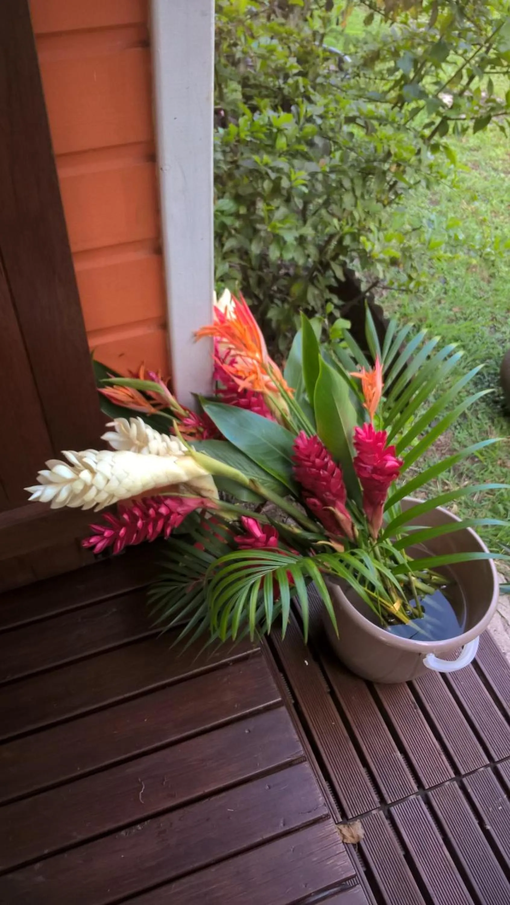 Garden in Cap Martinique