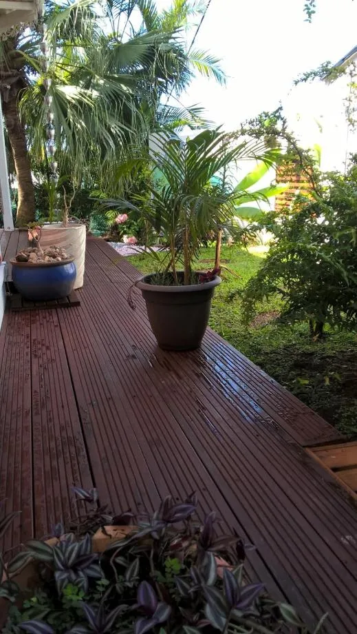 Garden in Cap Martinique