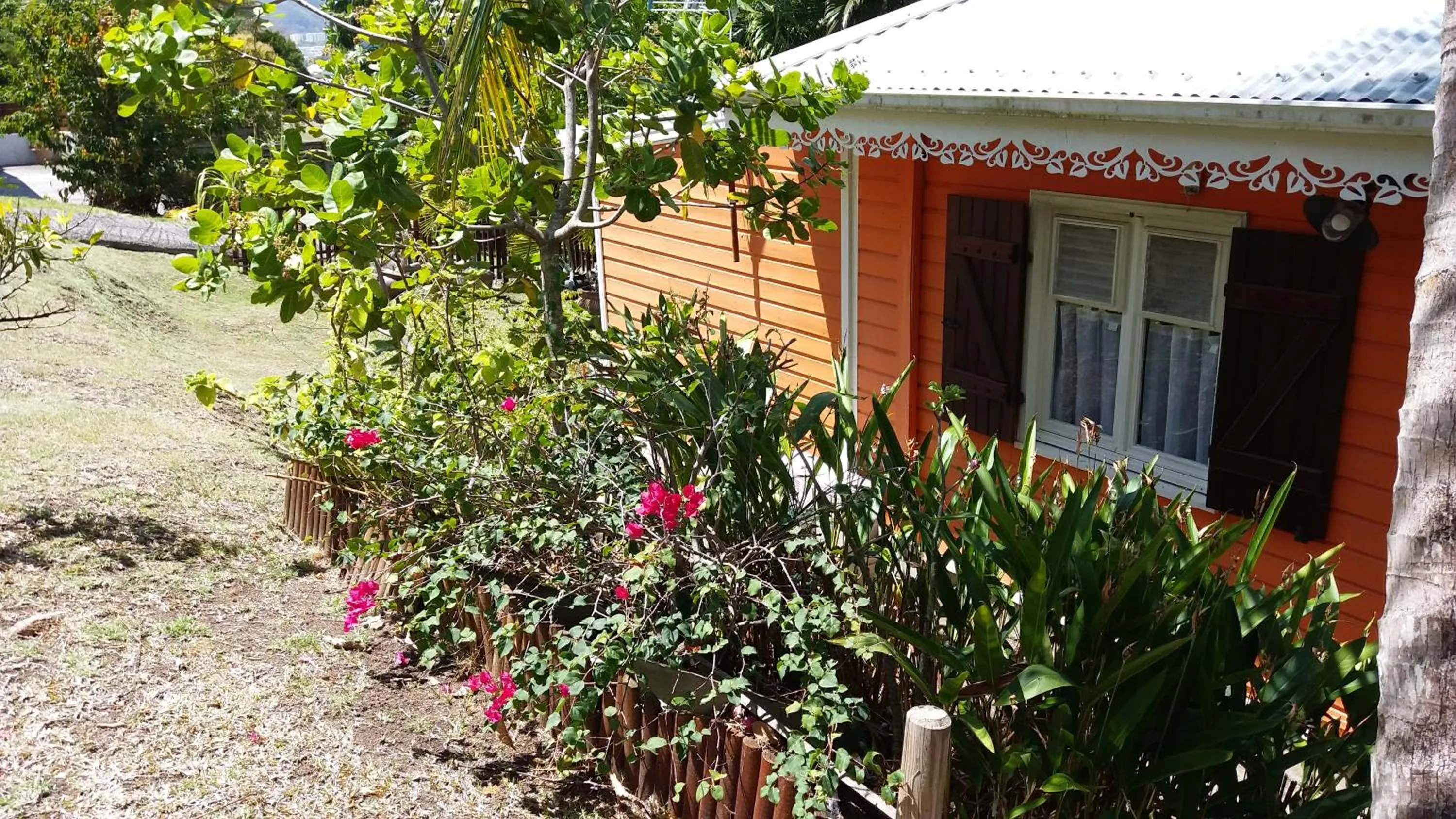 Natural landscape in Cap Martinique
