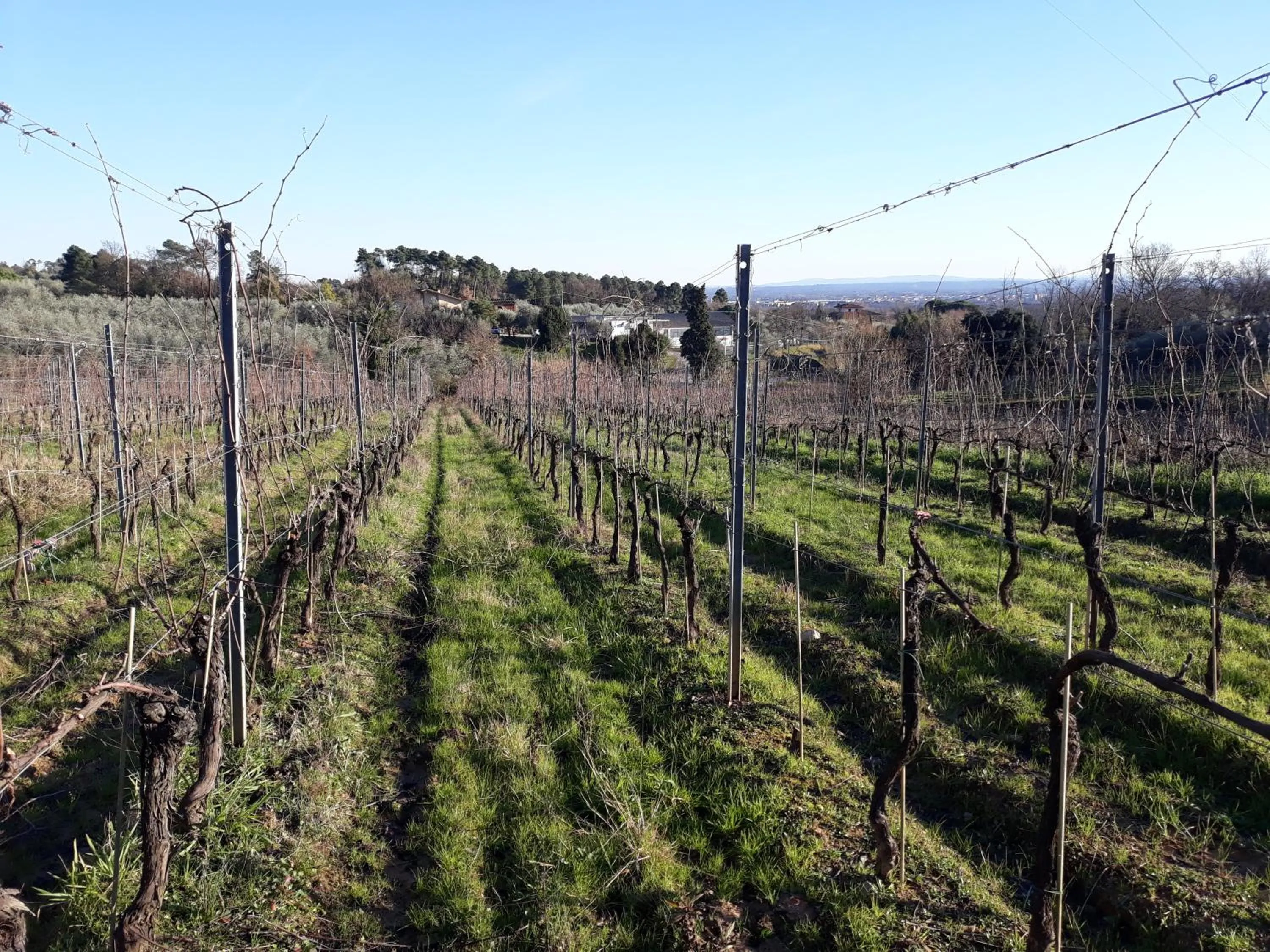 La Torre wine resort