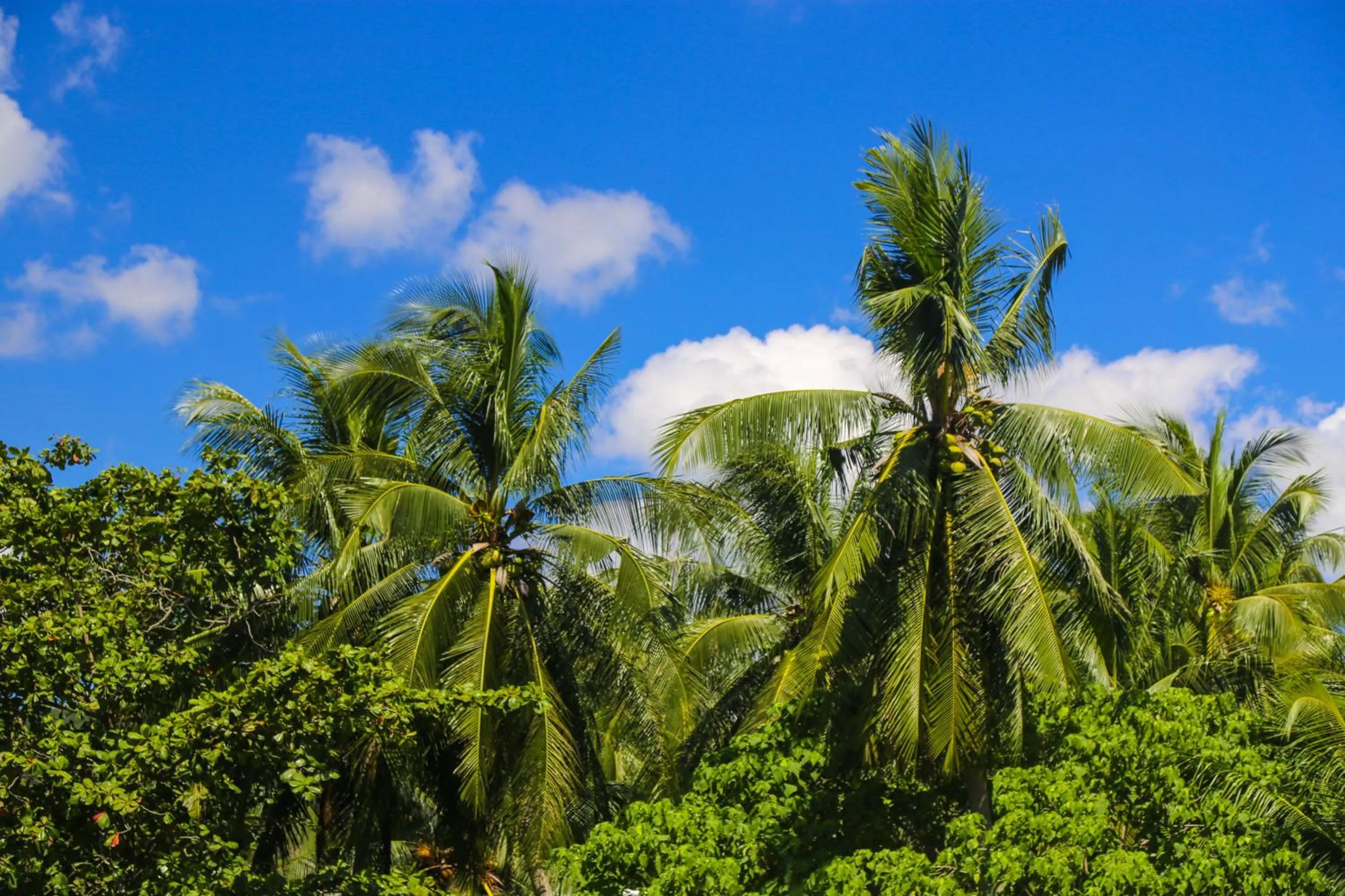 Day in Hotel De Karon