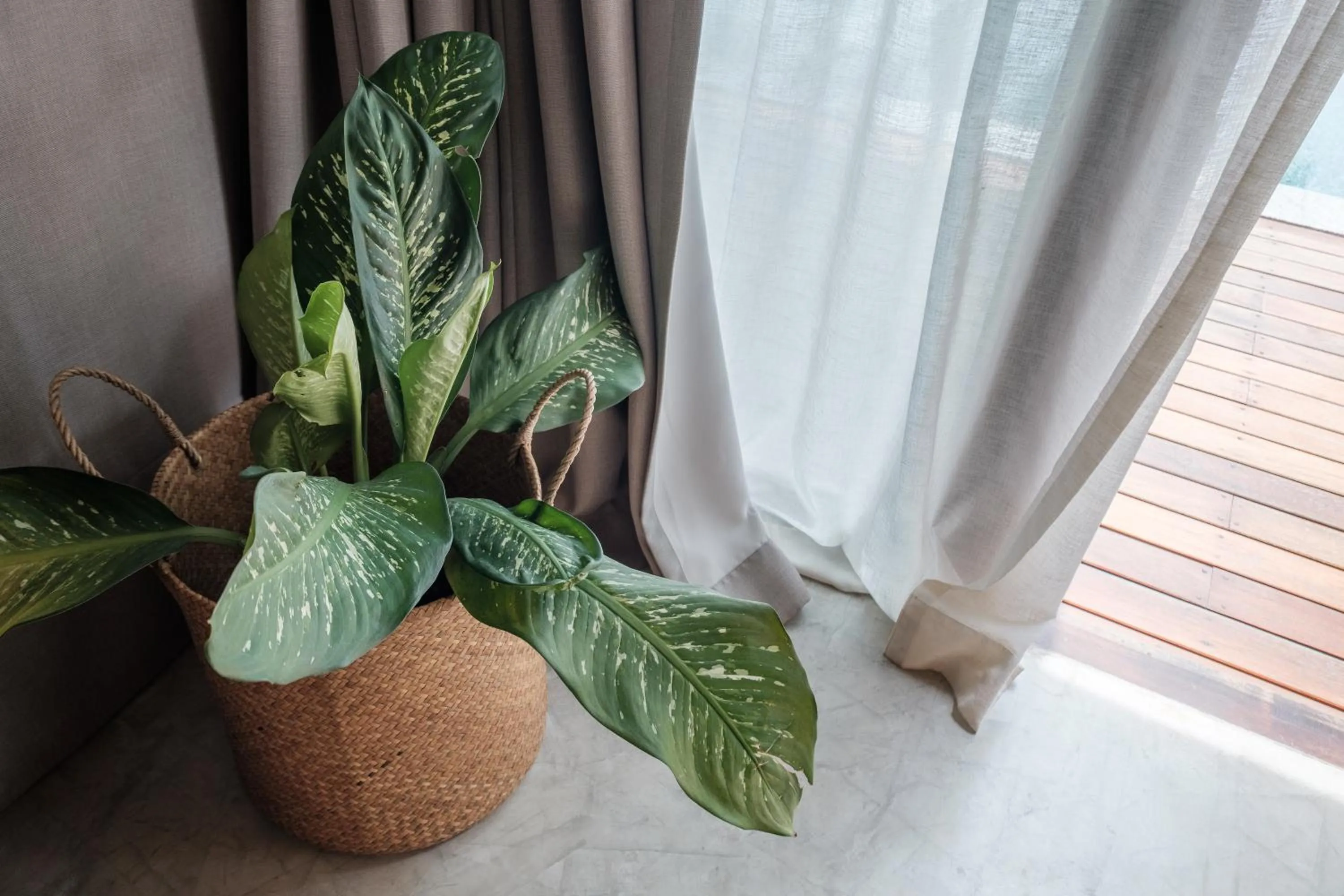 Decorative detail in Banana Fan Sea Resort