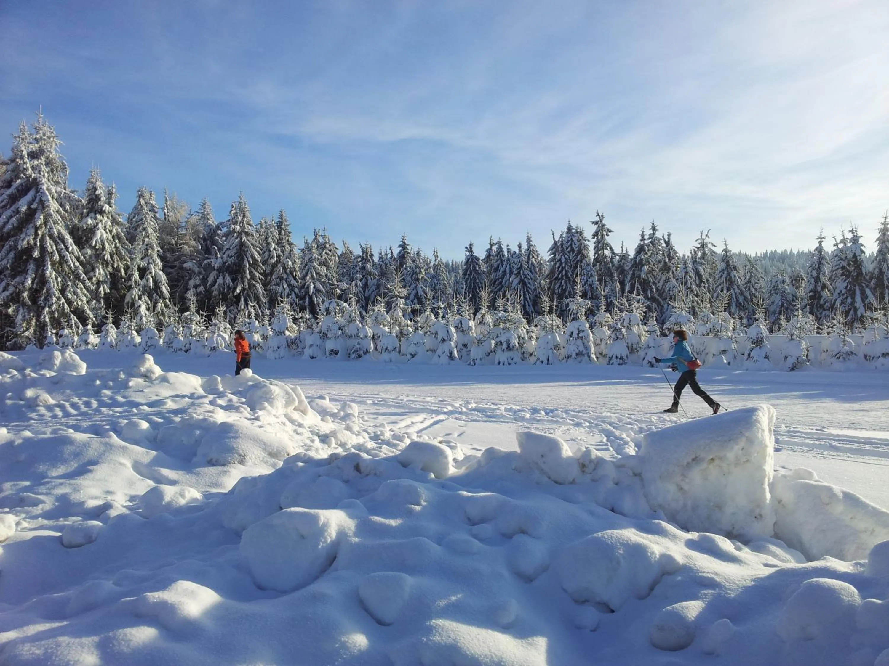 Skiing in Bärnsteinhof - Gasthof mit Herz