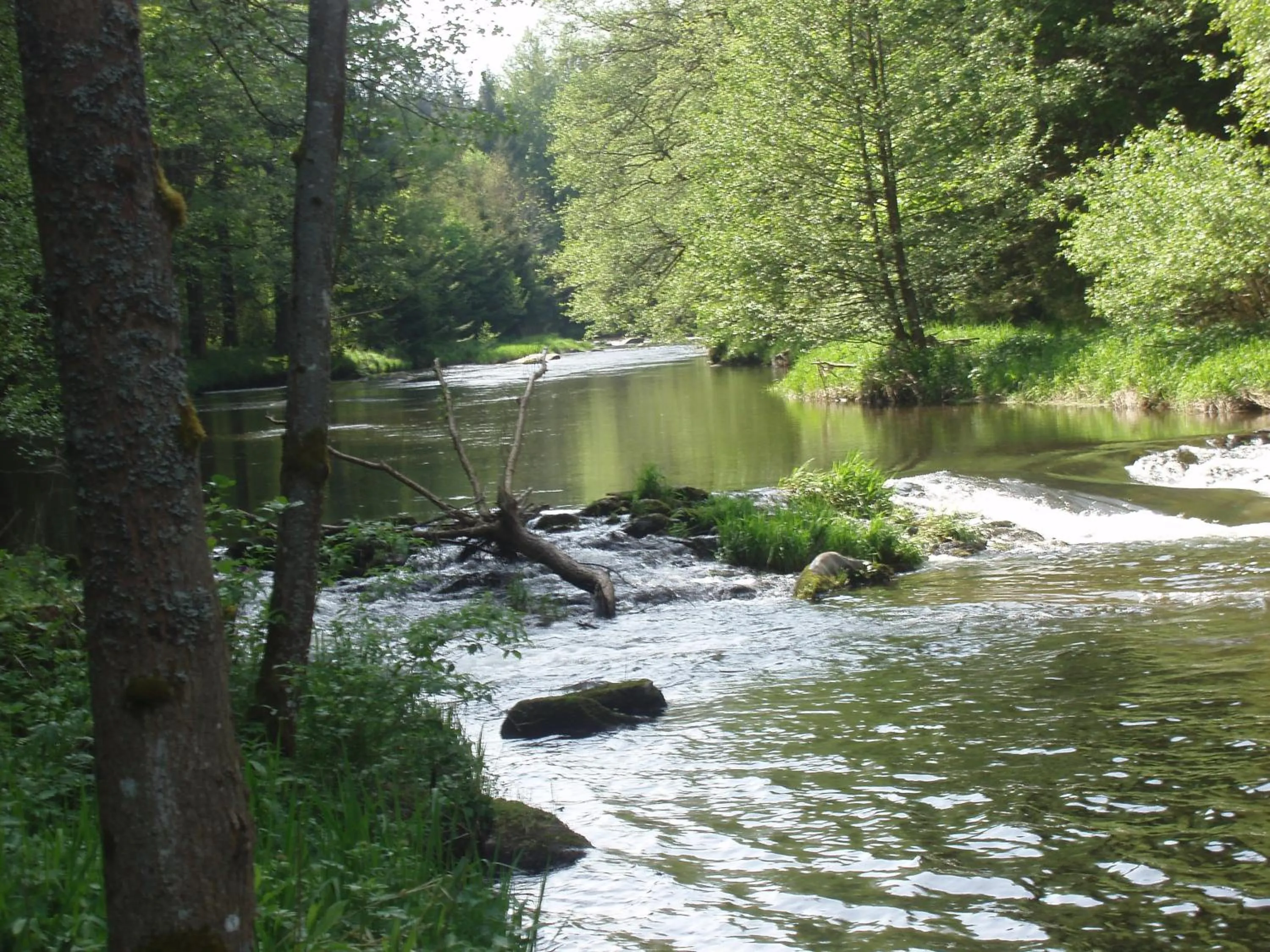 Fishing in Bärnsteinhof - Gasthof mit Herz