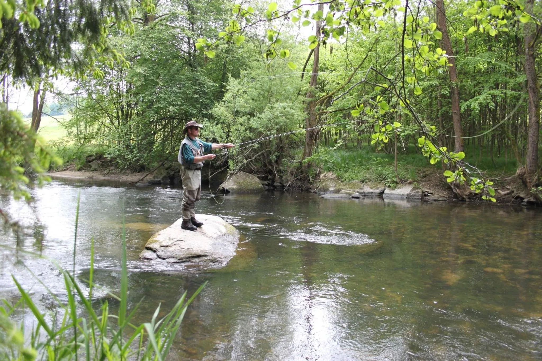 Fishing in Bärnsteinhof - Gasthof mit Herz