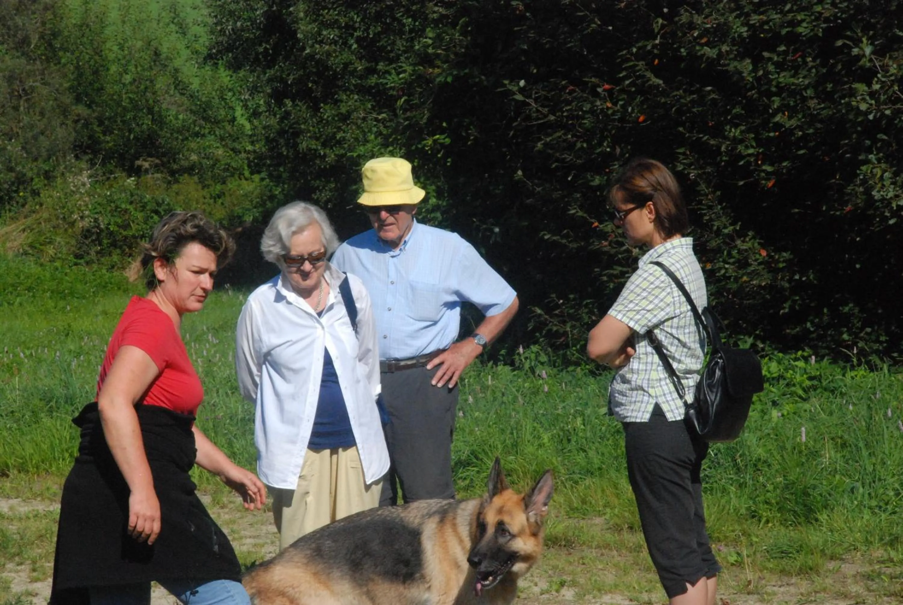 Hiking in Bärnsteinhof - Gasthof mit Herz