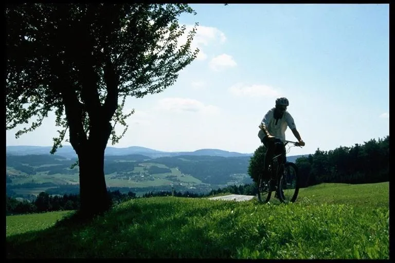 Cycling in Bärnsteinhof - Gasthof mit Herz