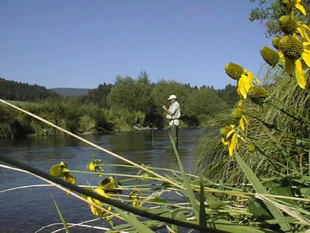 Fishing in Bärnsteinhof - Gasthof mit Herz